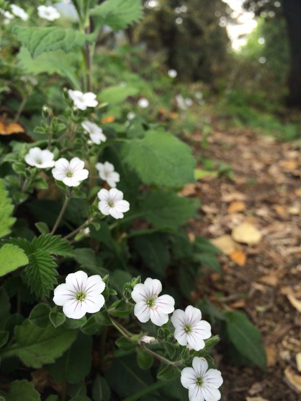 Credits: Rockfortrookie