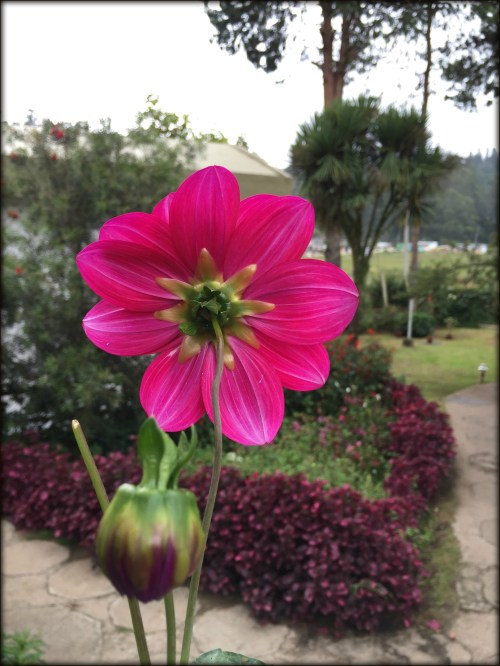 collecting experiences