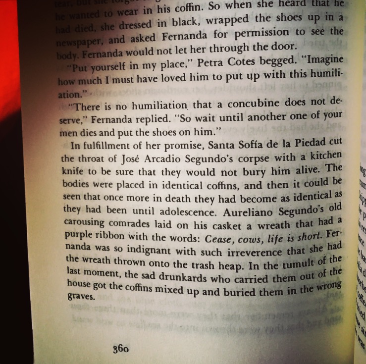 one-hundred-years-of-solitude-cease-cows-life-is-short