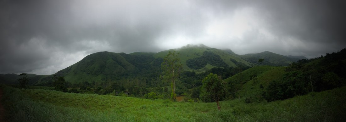 green mountain in Thekkady