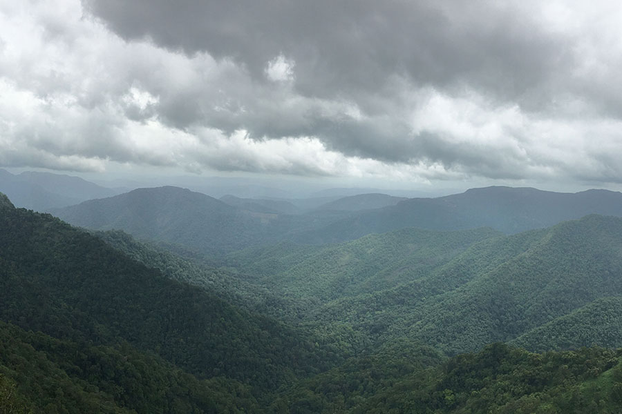 Green mountain-Thekkady