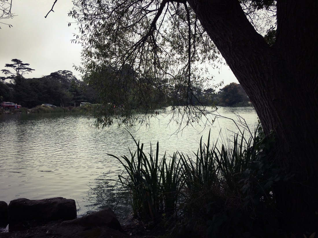 The Stow Lake in the Golden Gate Park
