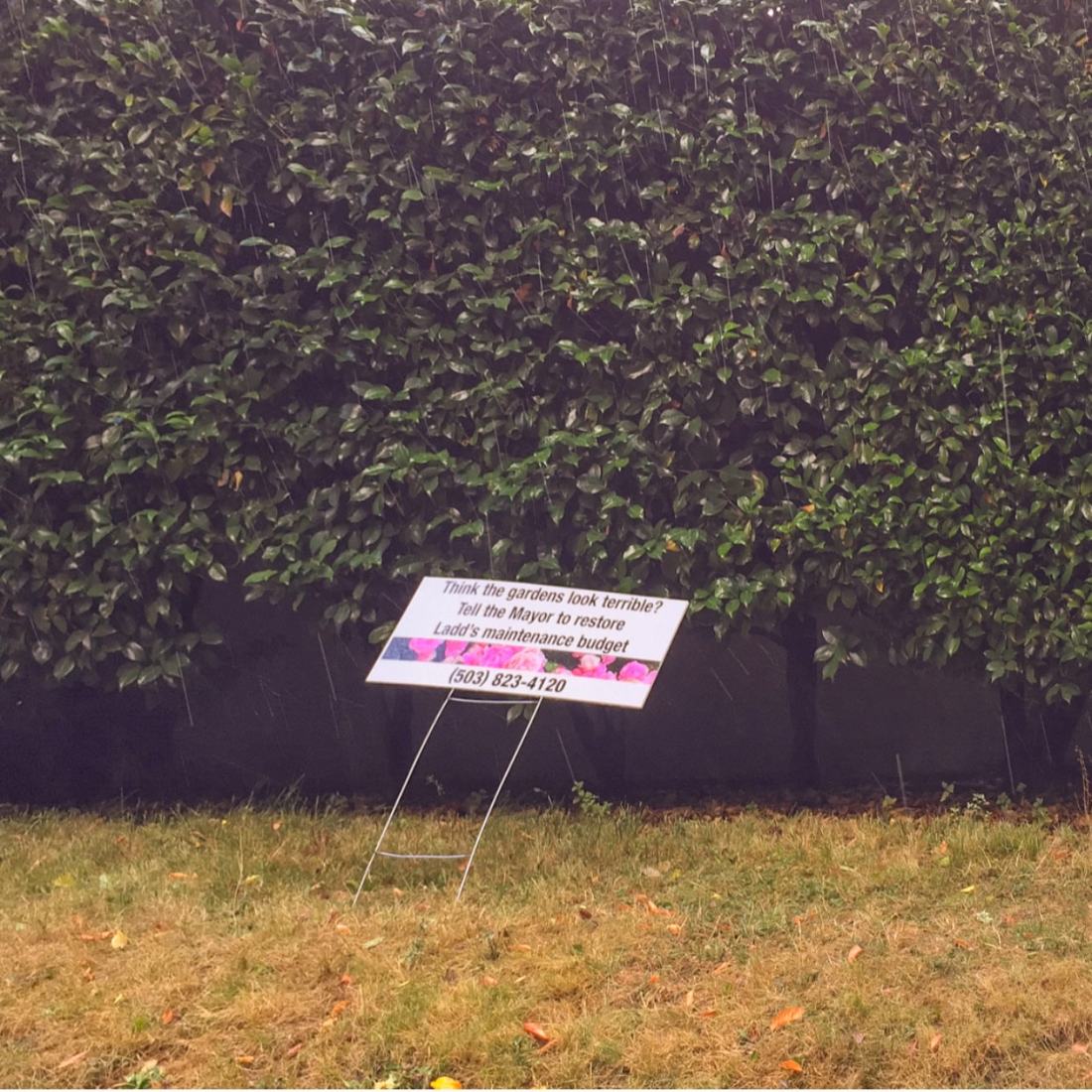 Cheeky message in Ladd's Addition, Portland