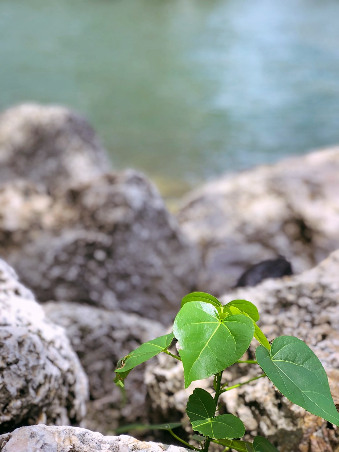 Brickell Park, Miami