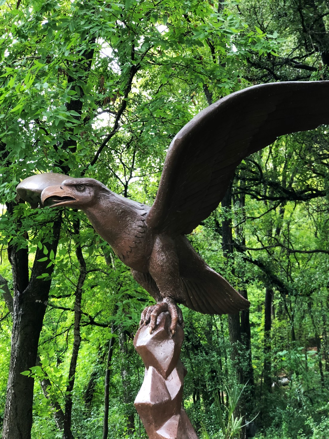 Eagle sculpture at the Umlauf Scupture Garden in Austin, Texas