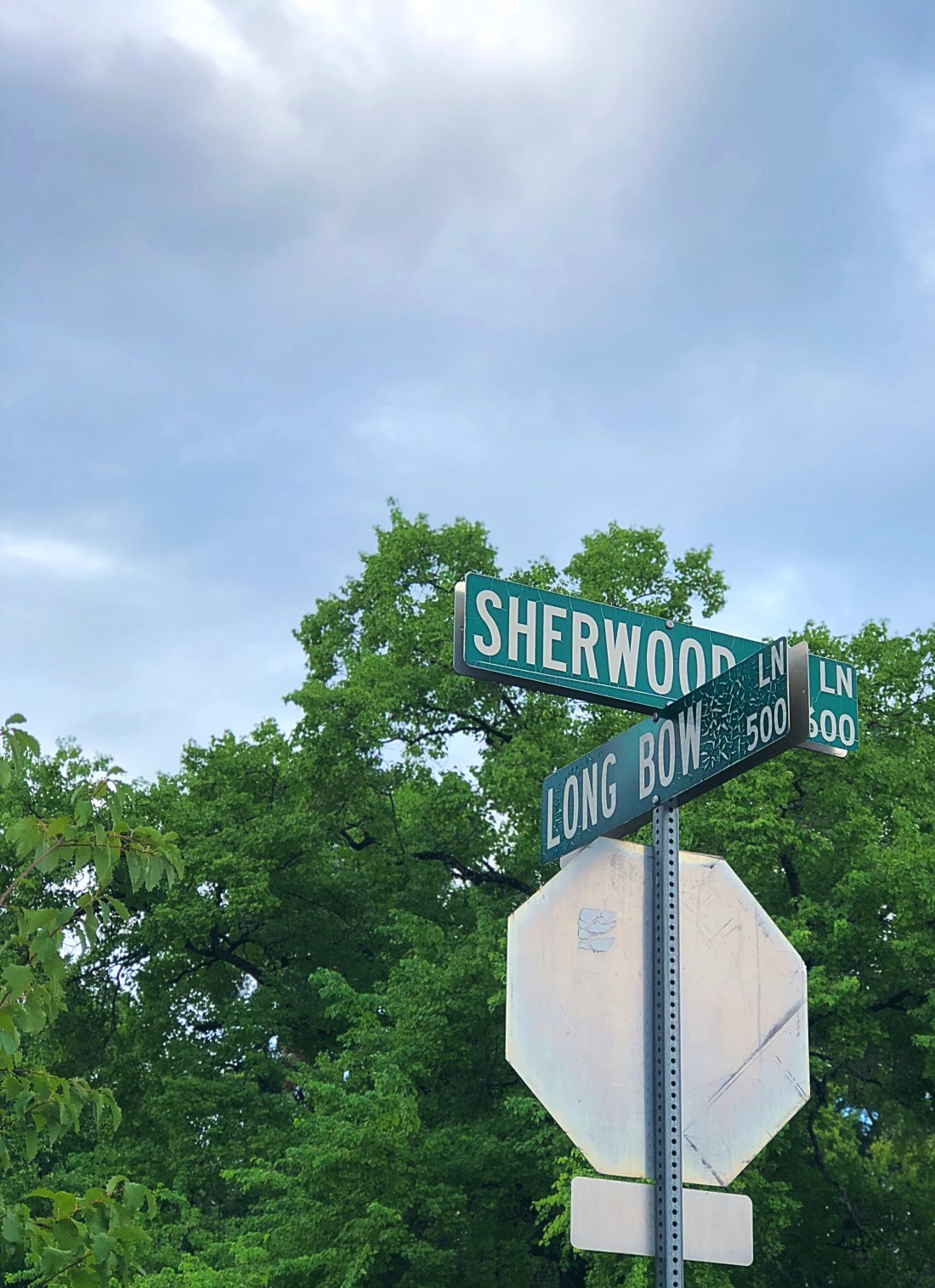 Street names in Austin, Texas