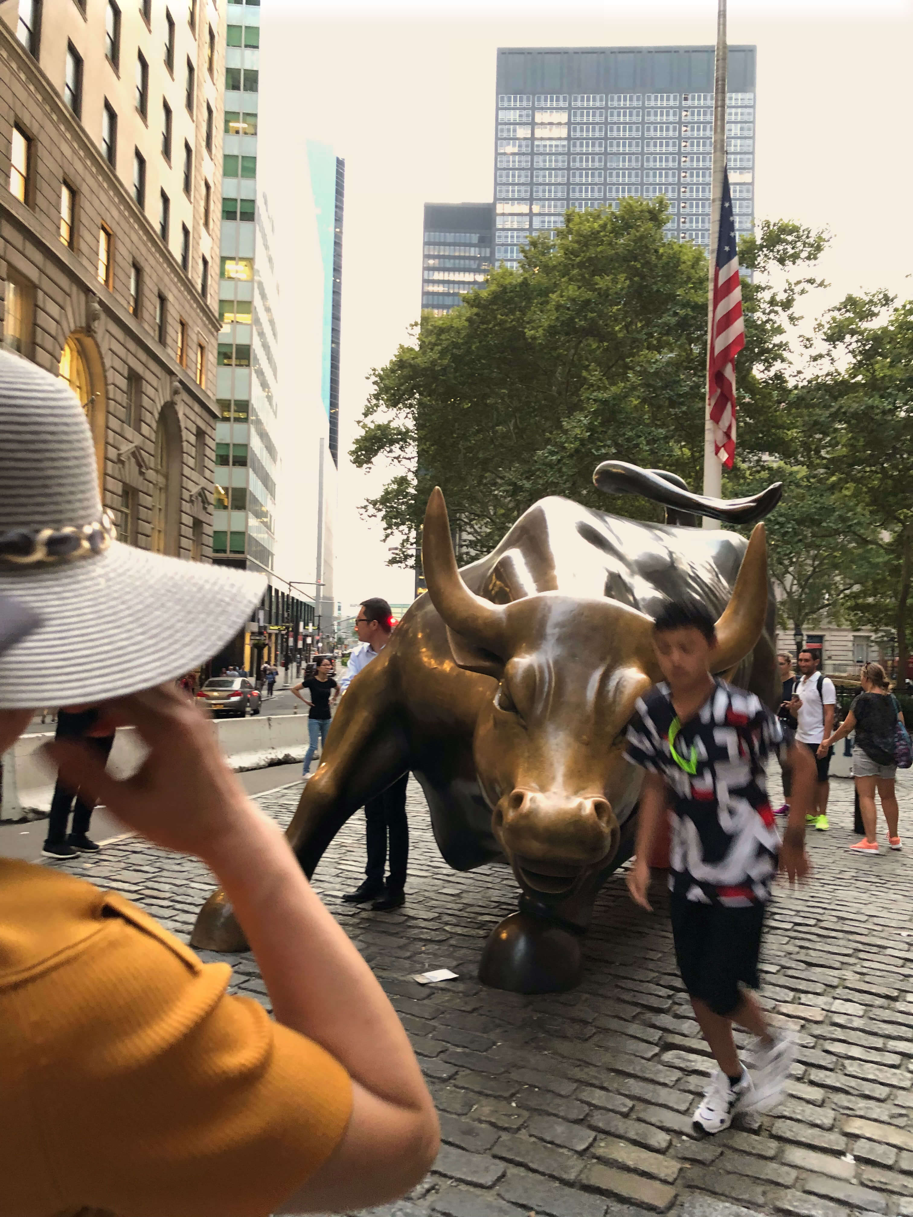 The Charging Bull, New York City