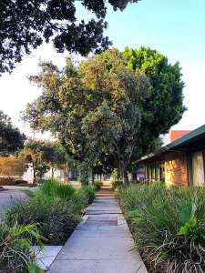 Sidewalks in Pasadena
