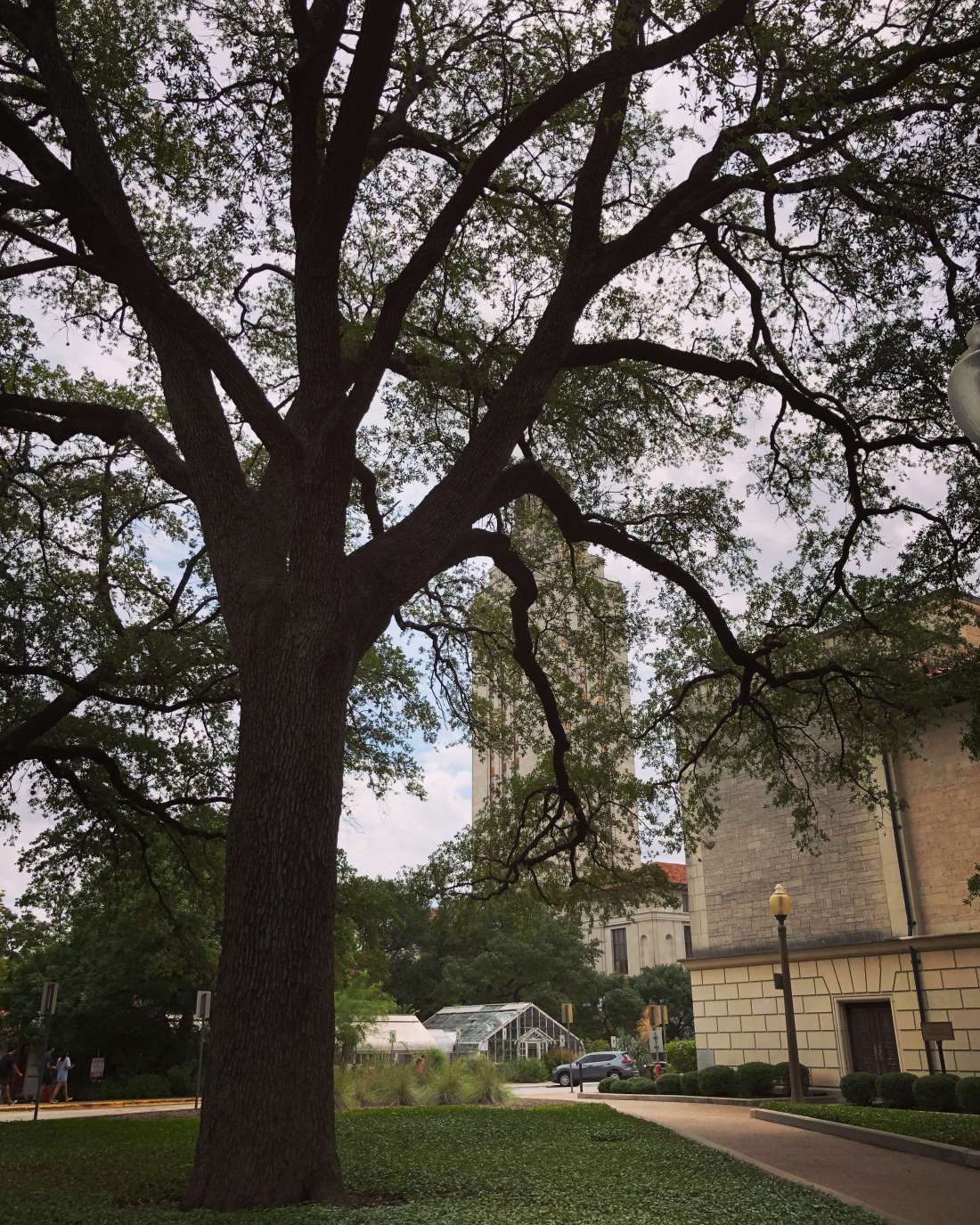 University of Texas in Austin