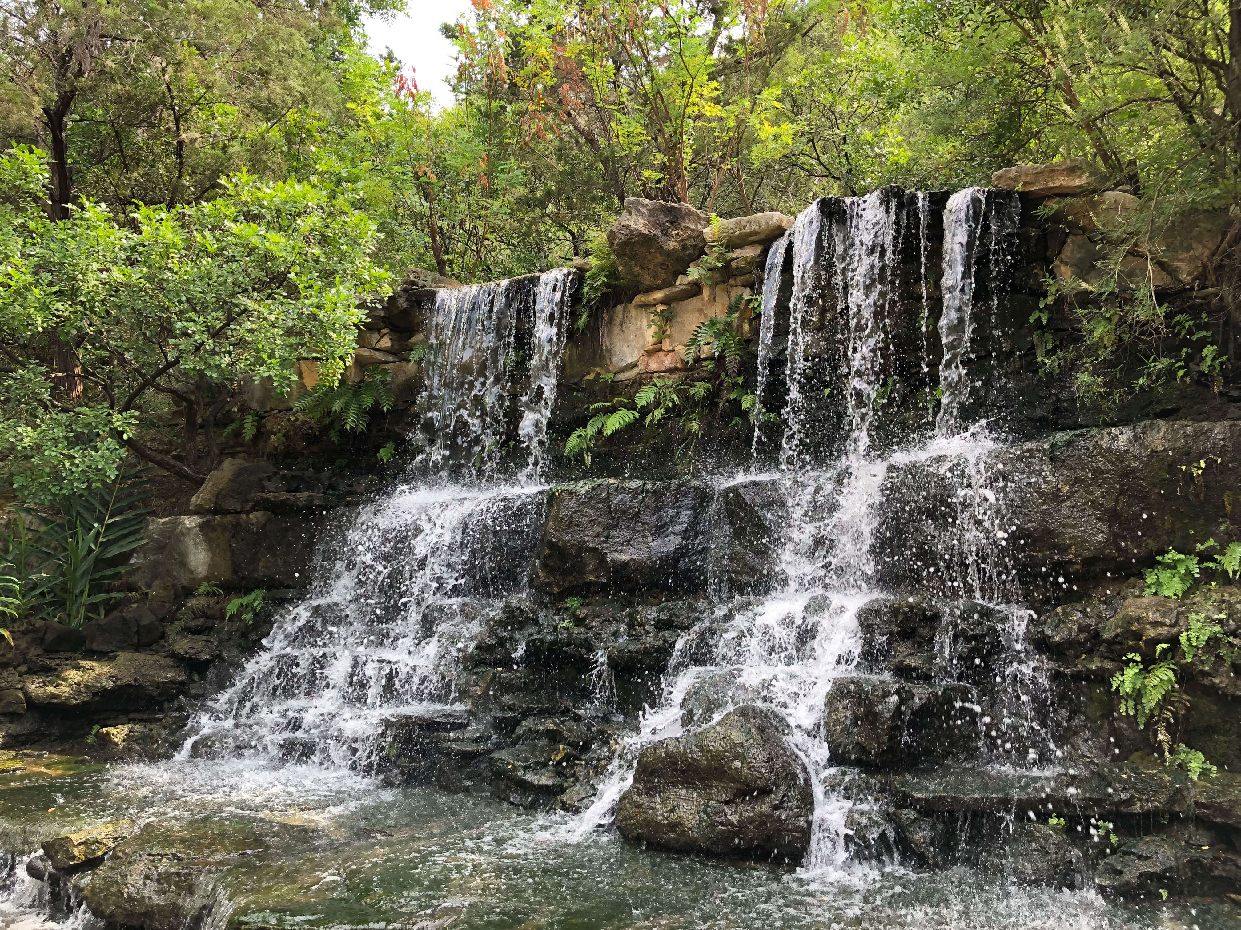 Zilker Botanical Garden