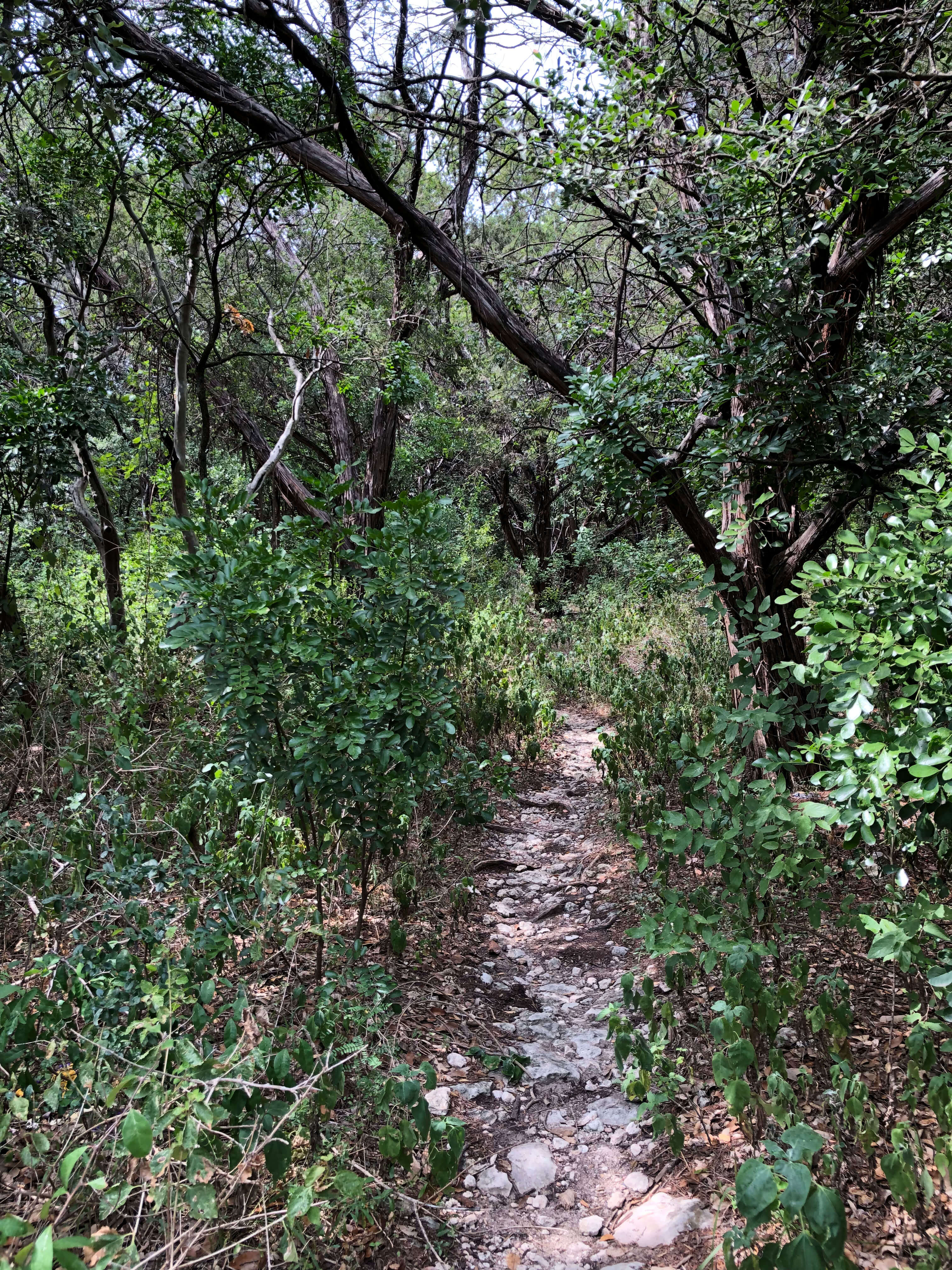 Zilker Botanical Garden