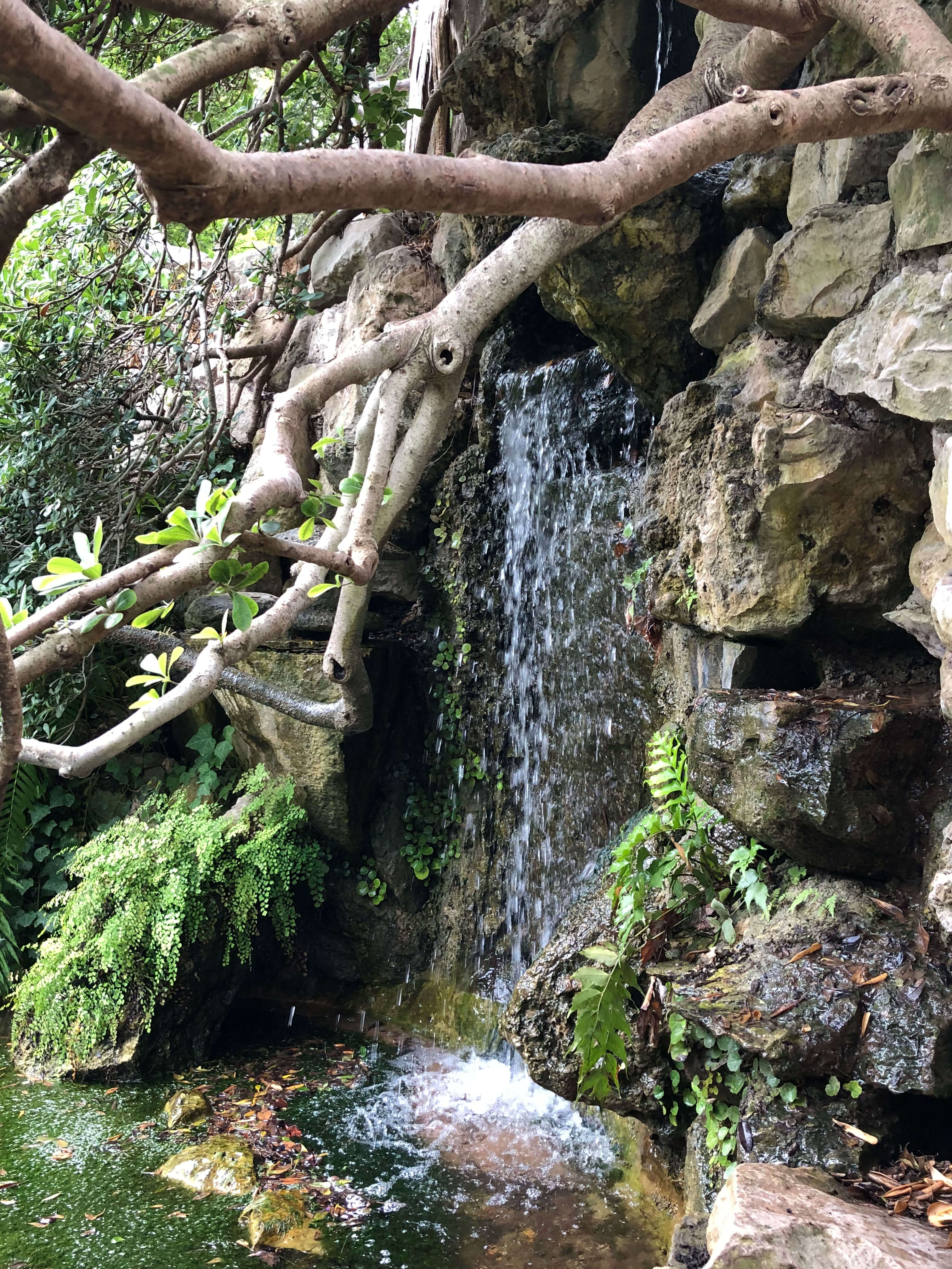 Zilker Botanical Garden