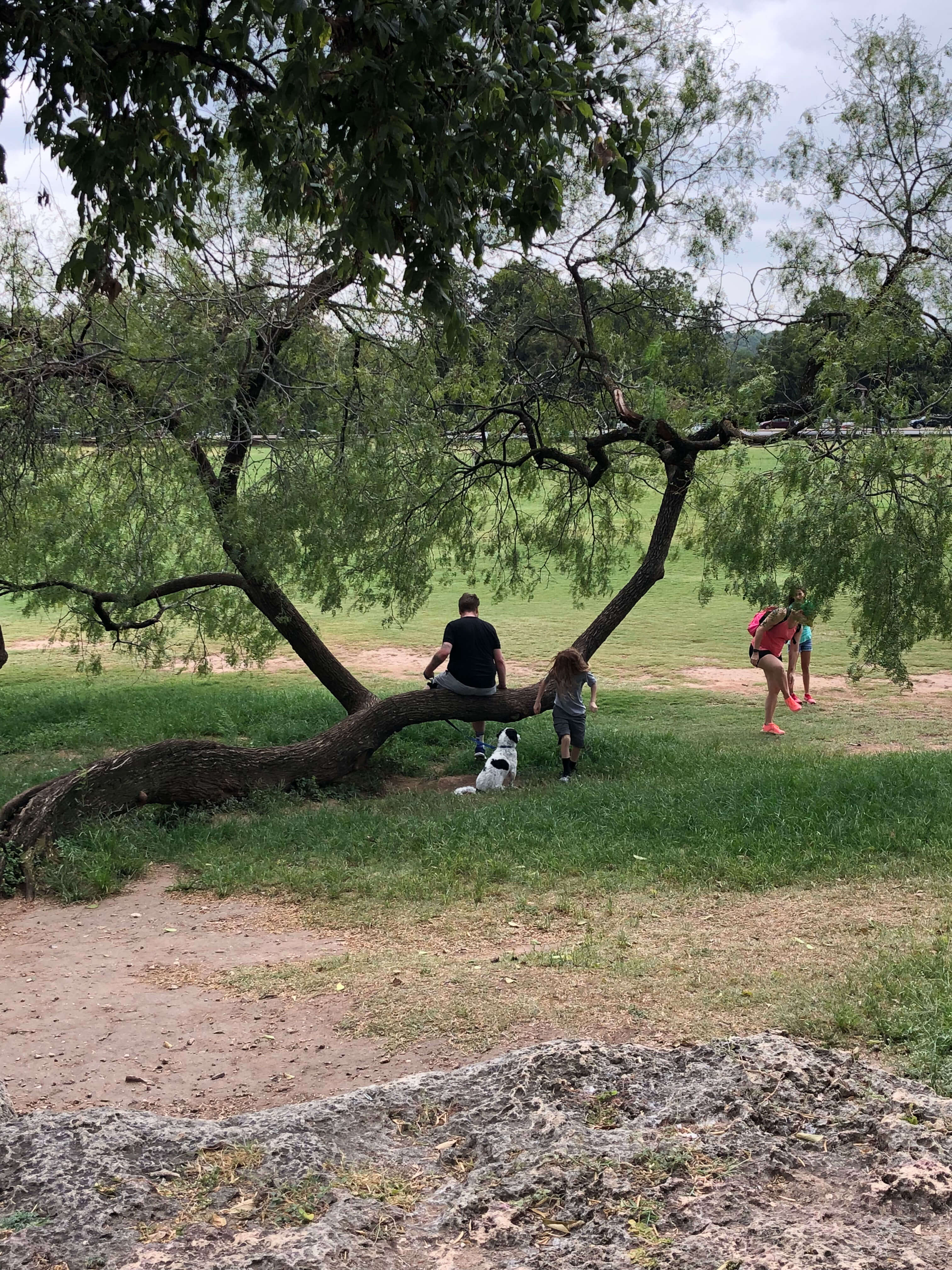 Zilker Metropolitan Park