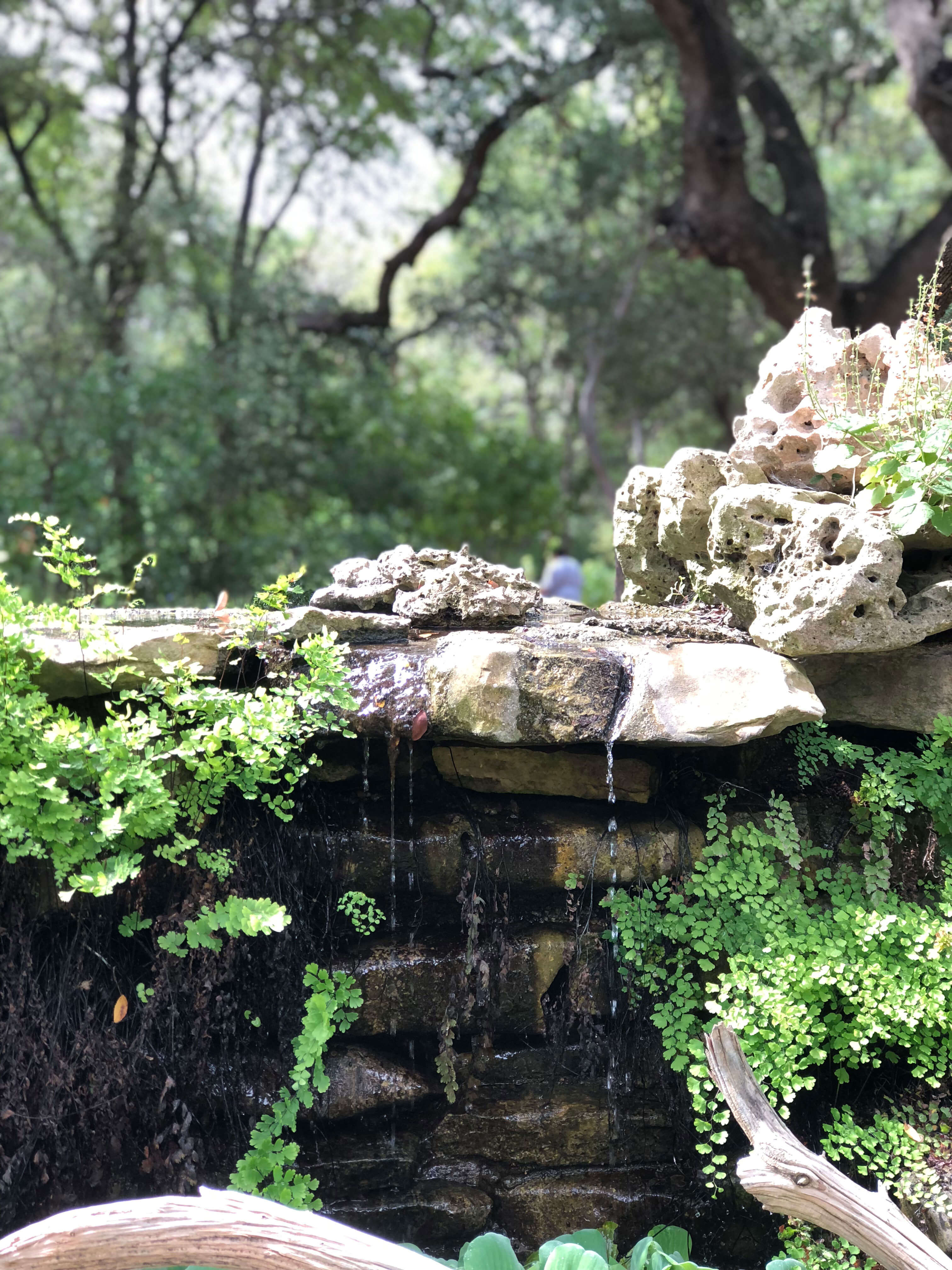 Zilker Botanical Garden