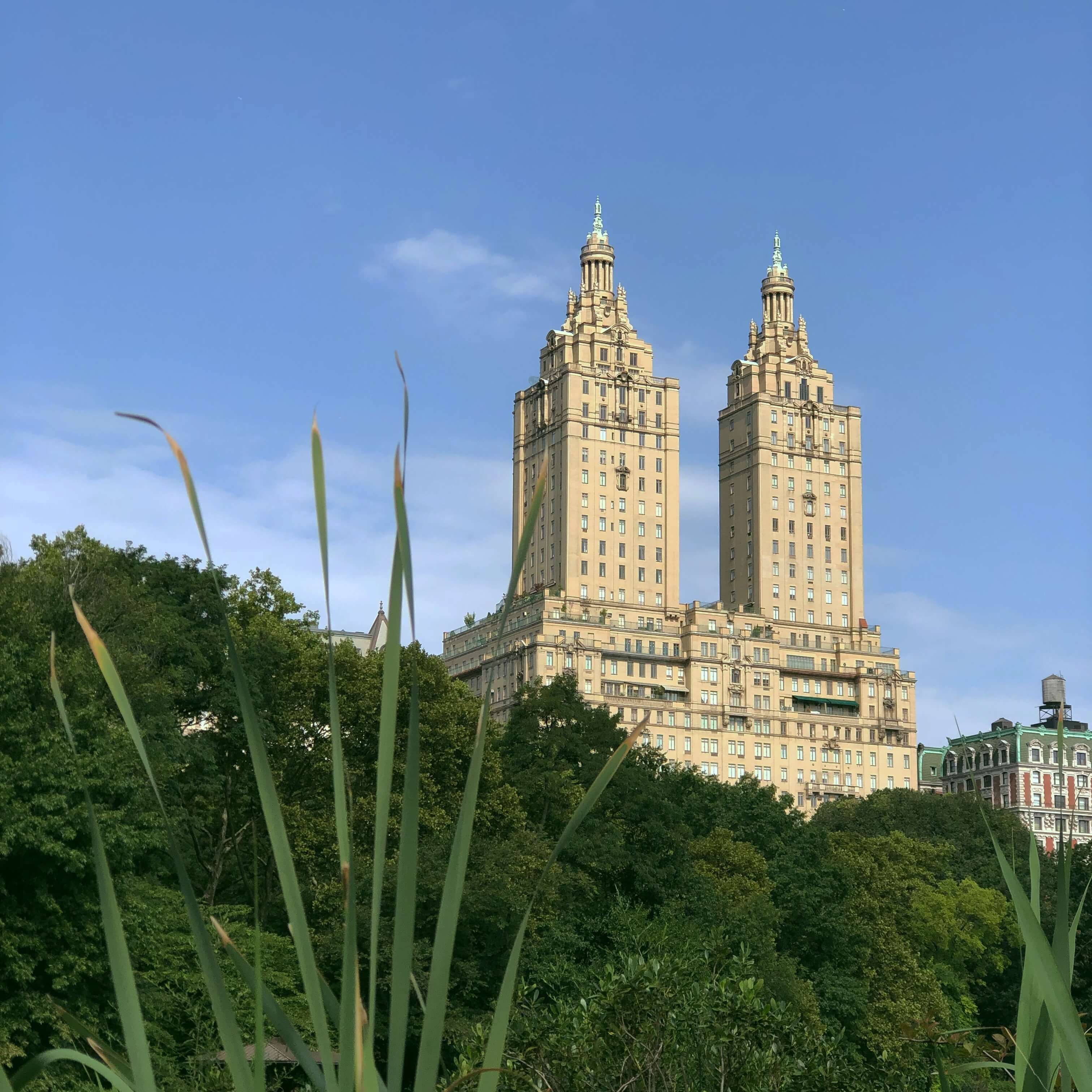 Central Park, New York City
