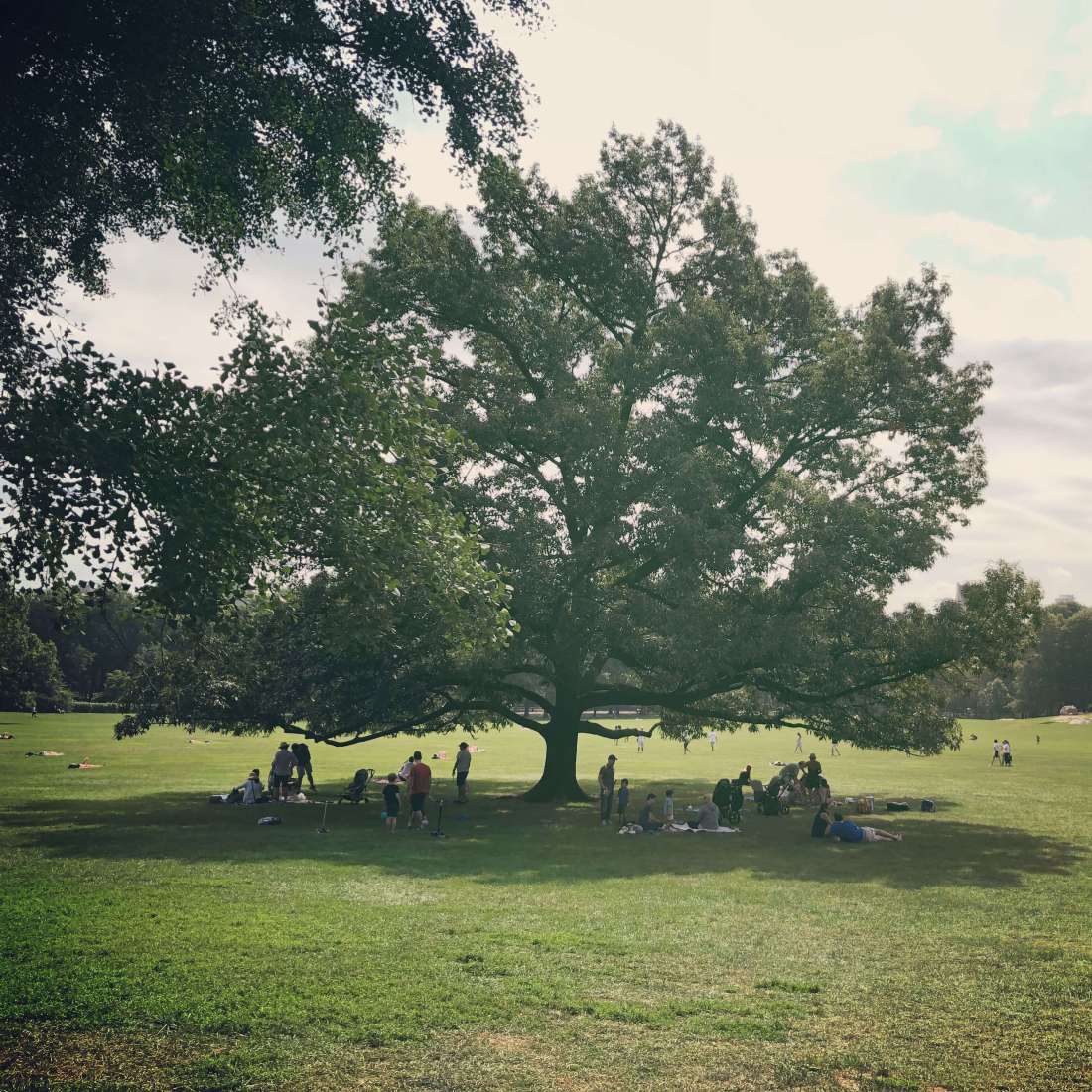 Central Park, Manhattan