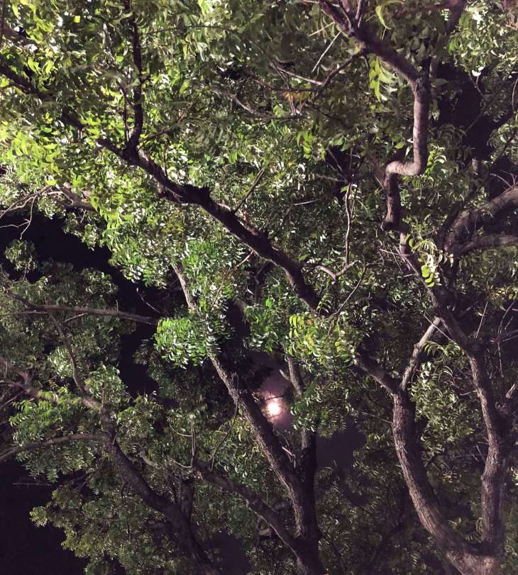 Moonrise in Tenkasi, South India