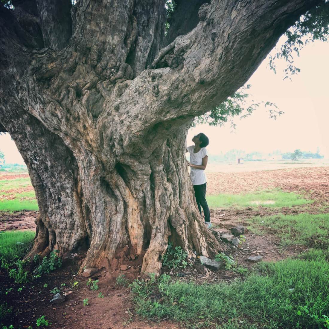 Tenkasi, South India