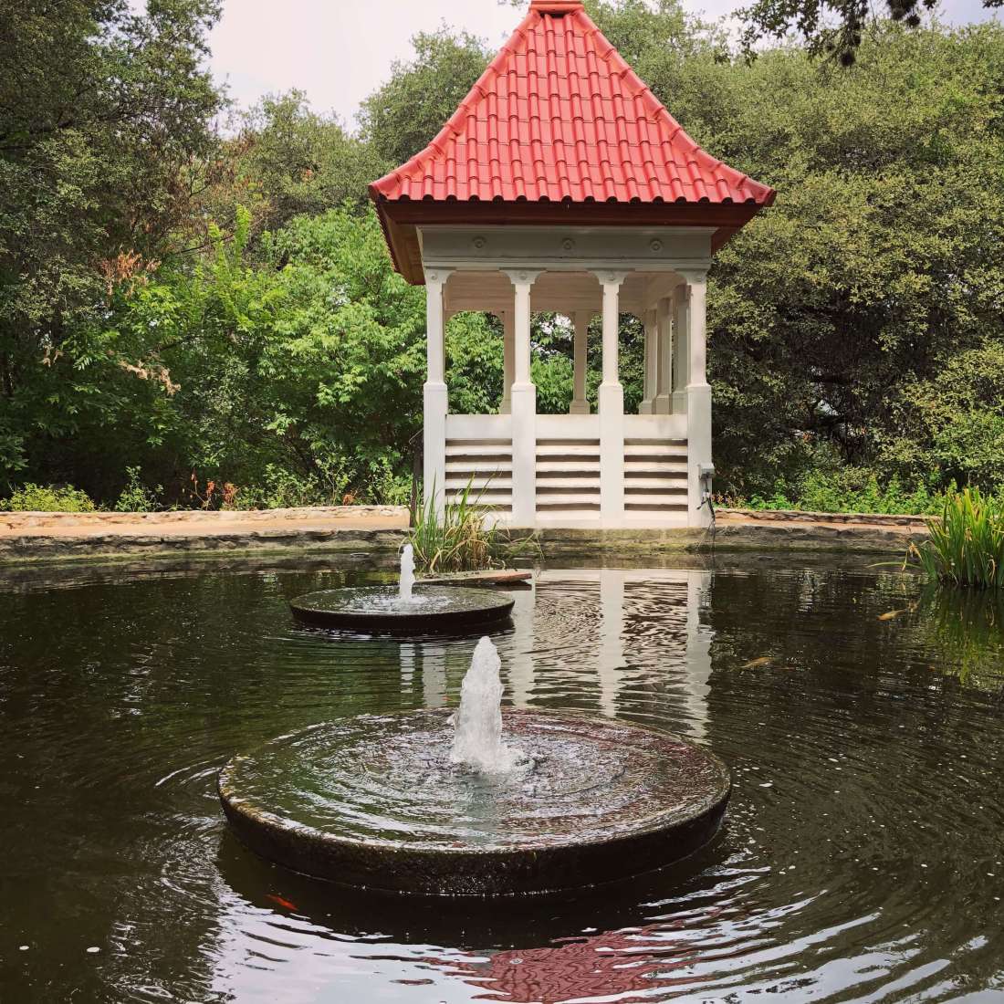 Zilker Botanical Garden in Austin, Texas