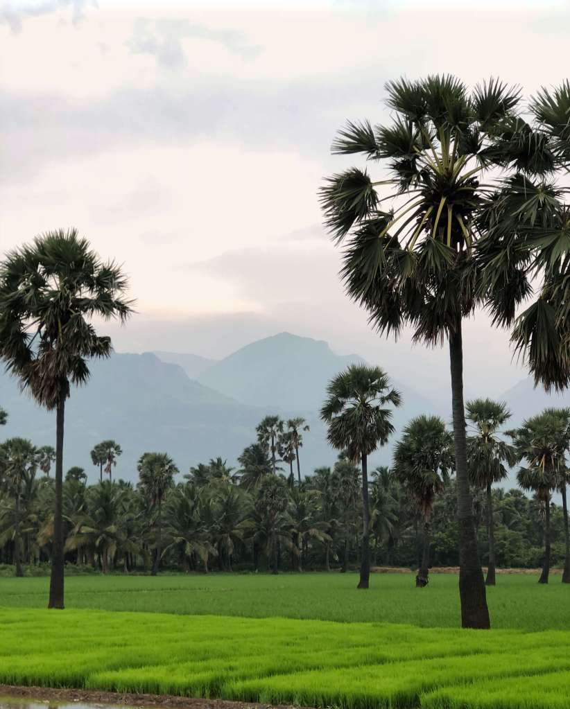 Tenkasi, South India