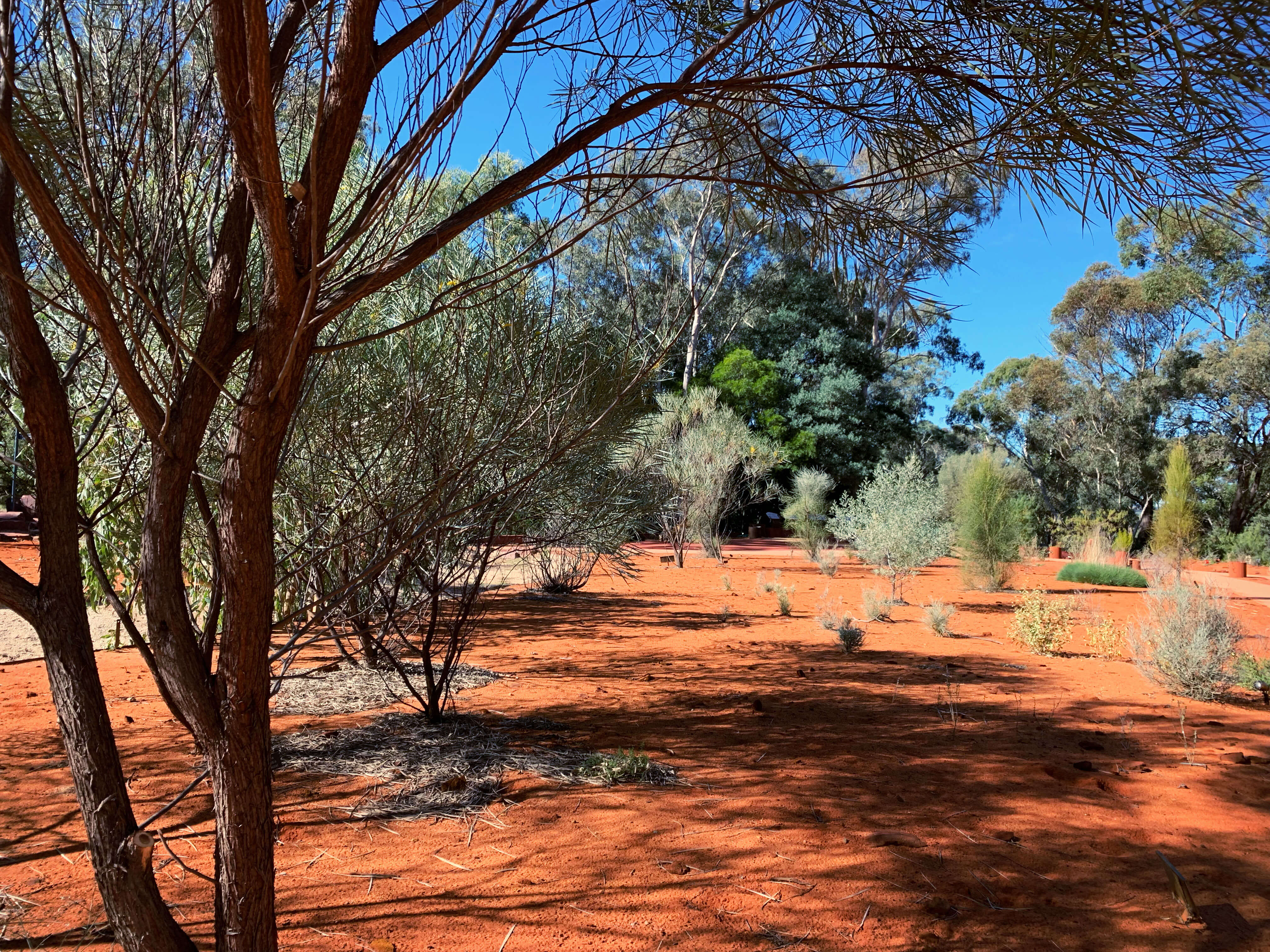 National Botanical Gardens - red centre garden landscape