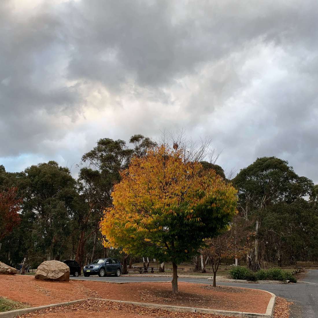Autumn in Canberra, Australia
