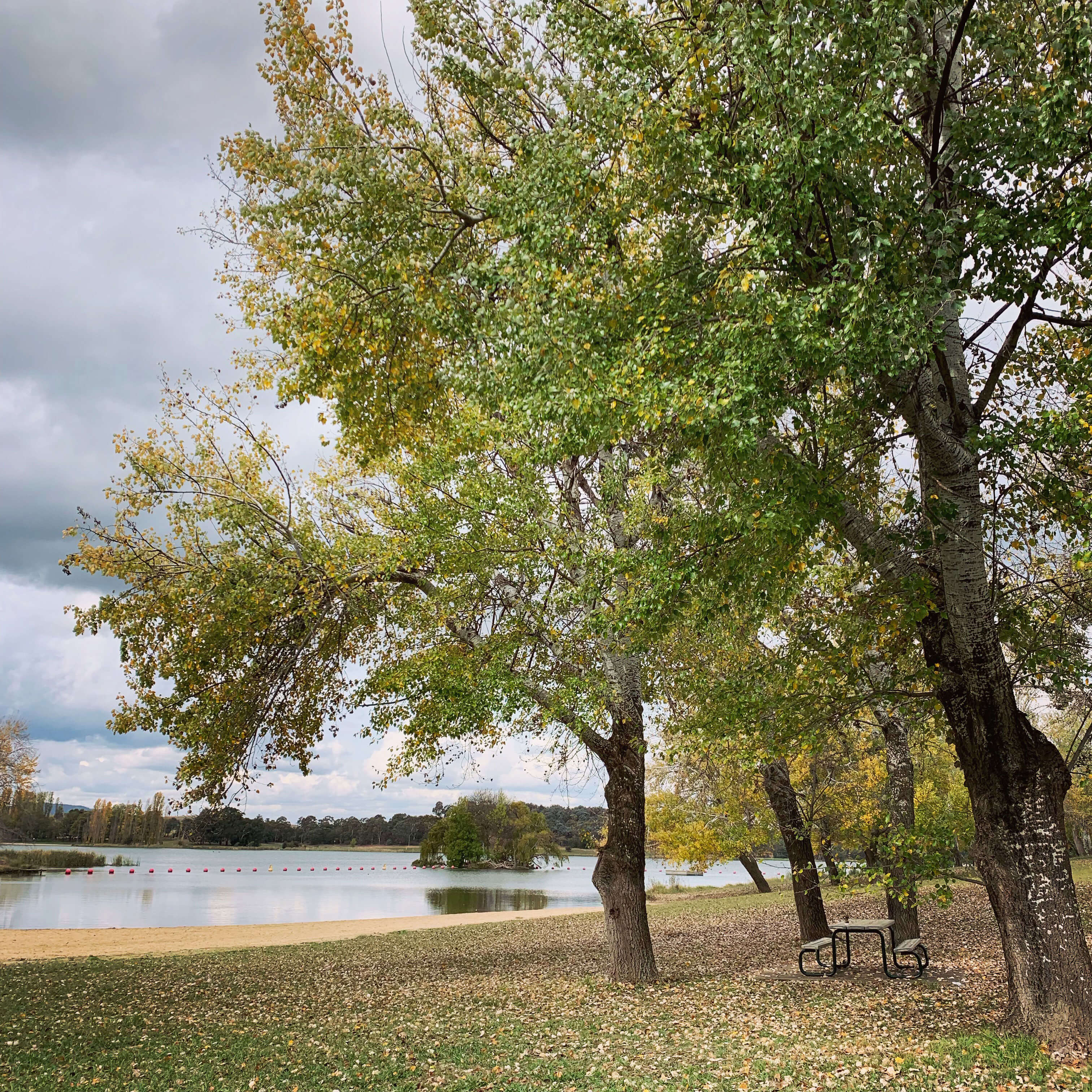 By lake Ginninderra, Canberra