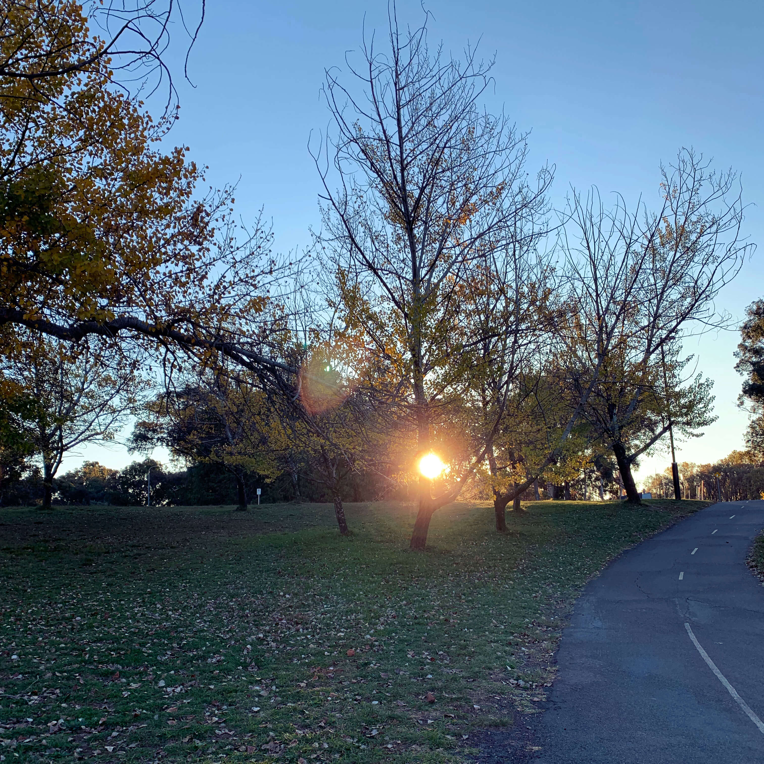 Canberra sunset