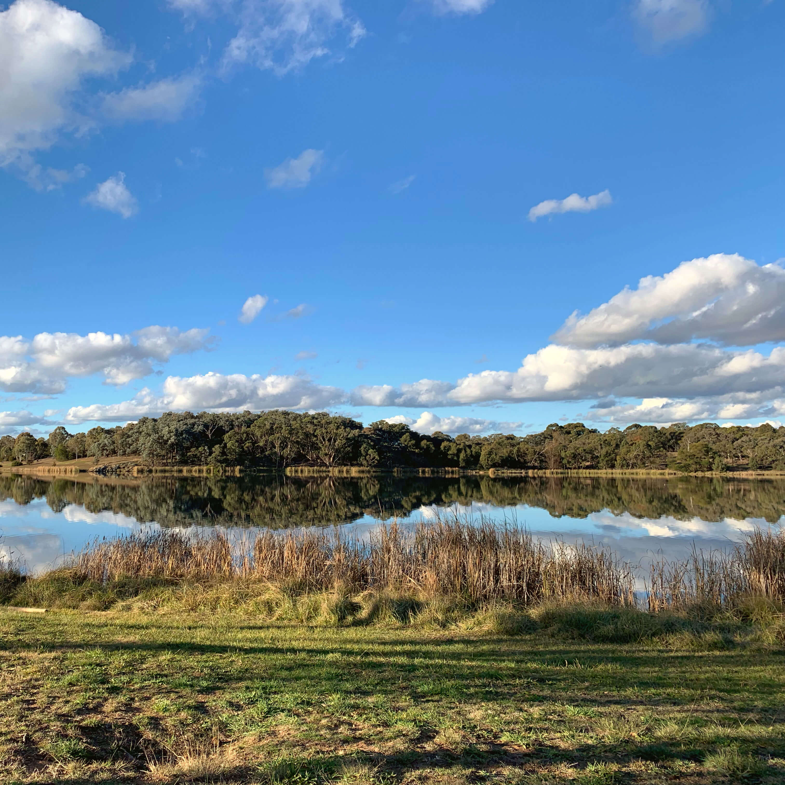 Lake Ginninderra, Canberra