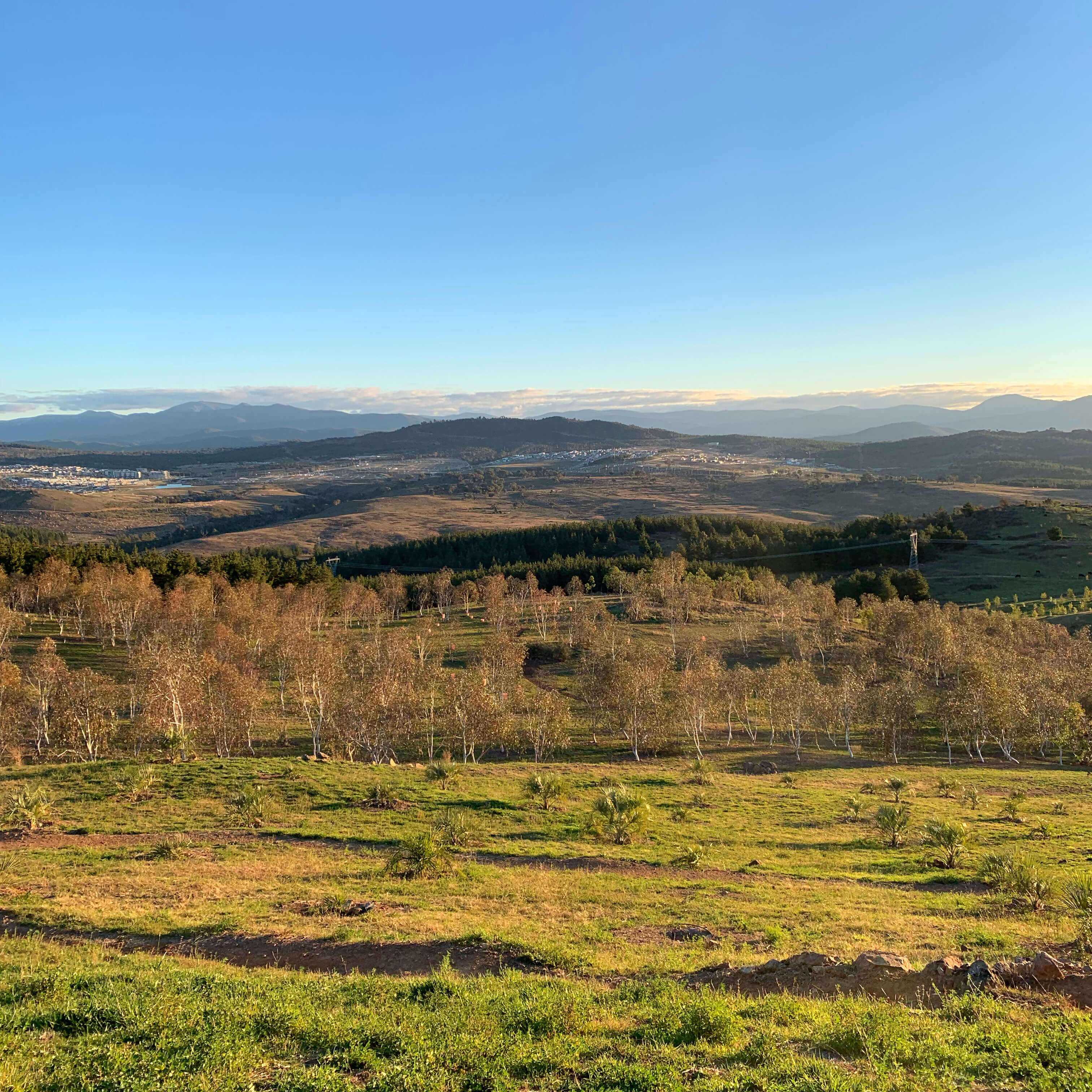 National Arboretum, Canberra