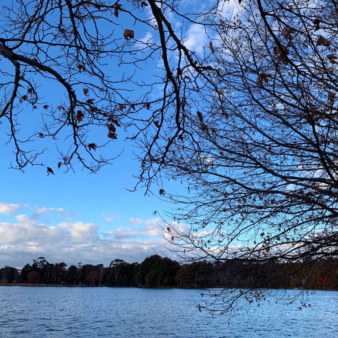 Winter sunset in Canberra