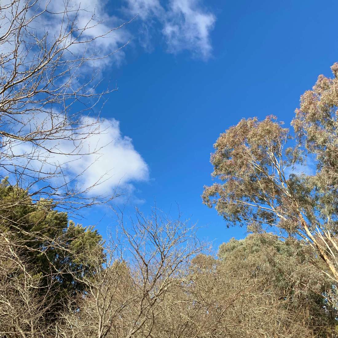 Blue skies - Canberra