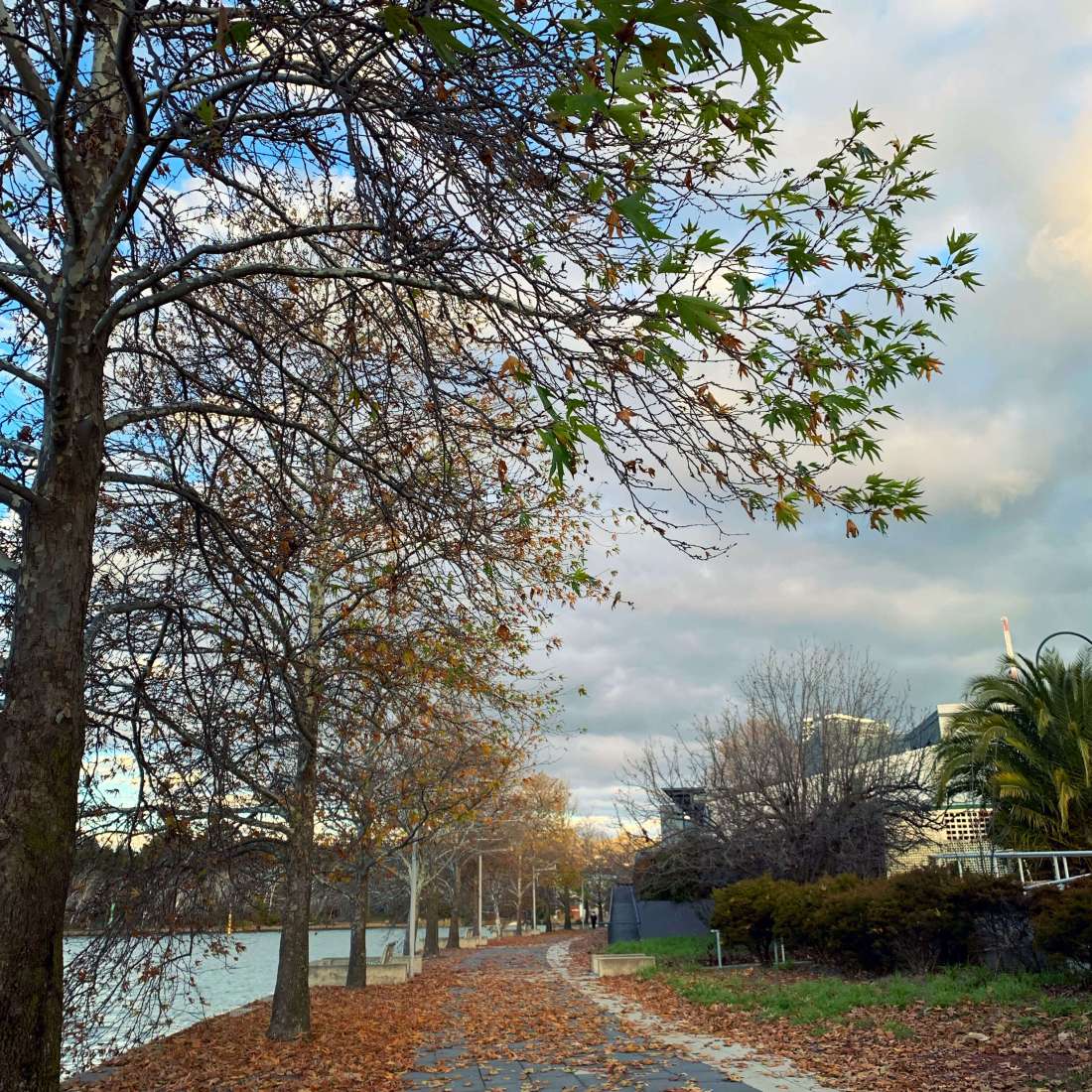 By Lake Ginninderra, Canberra