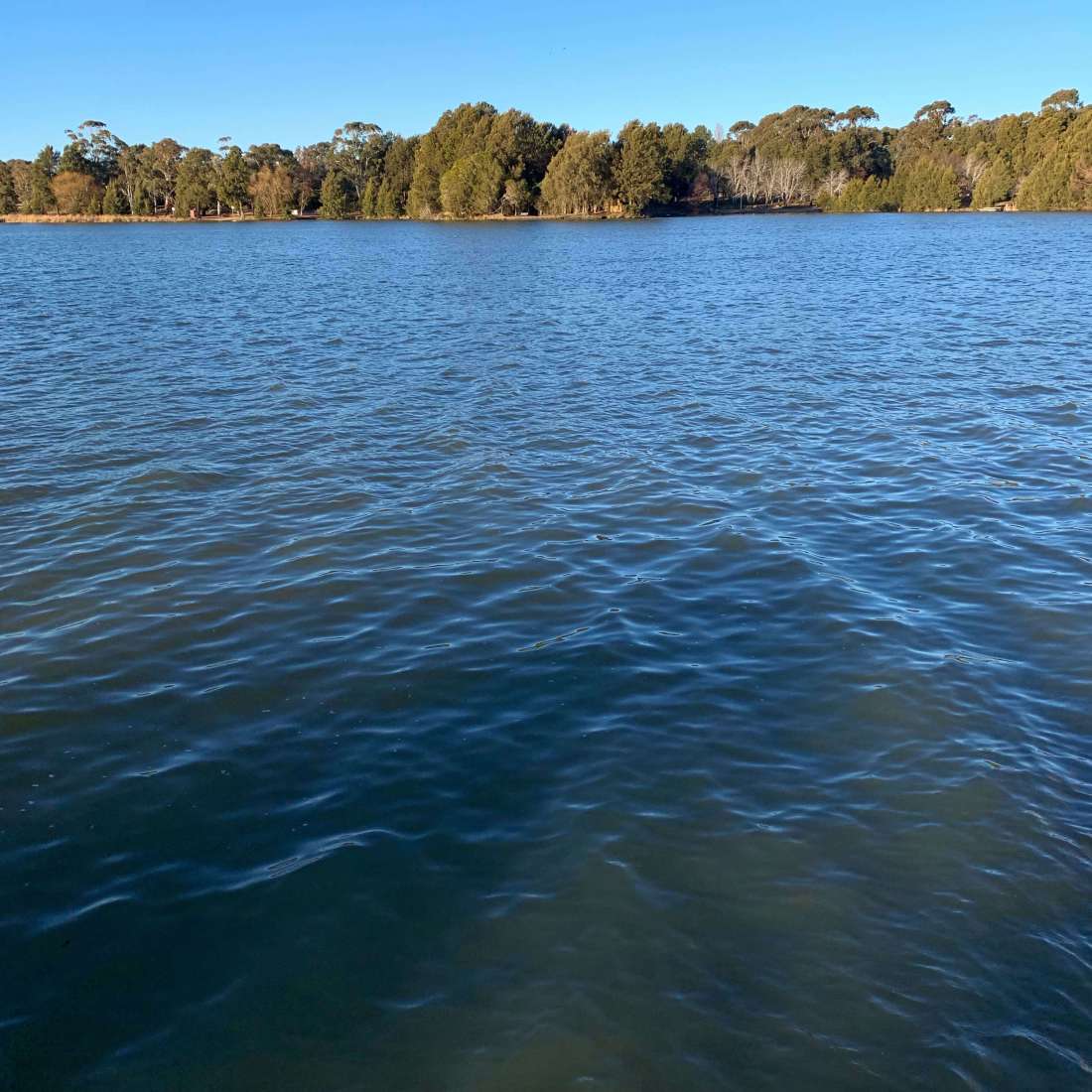Lake Ginninderra, Canberra