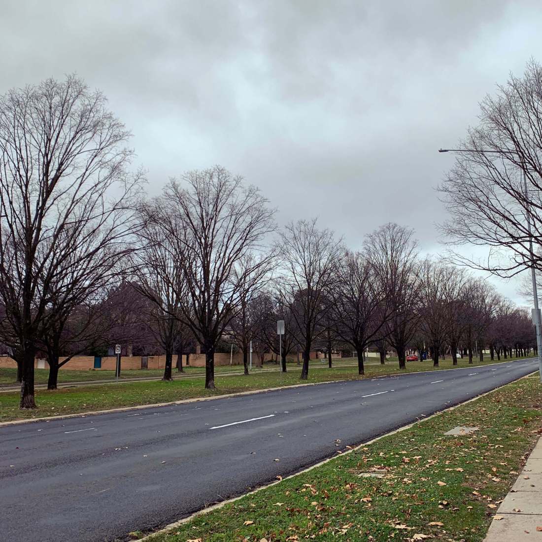 A windy, winter day in Canberra