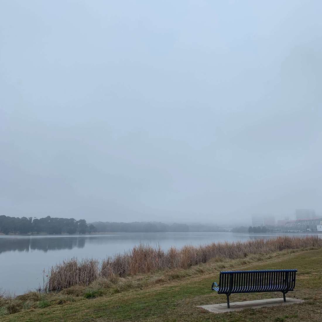 Foggy day by Lake Ginninderra, Canberra