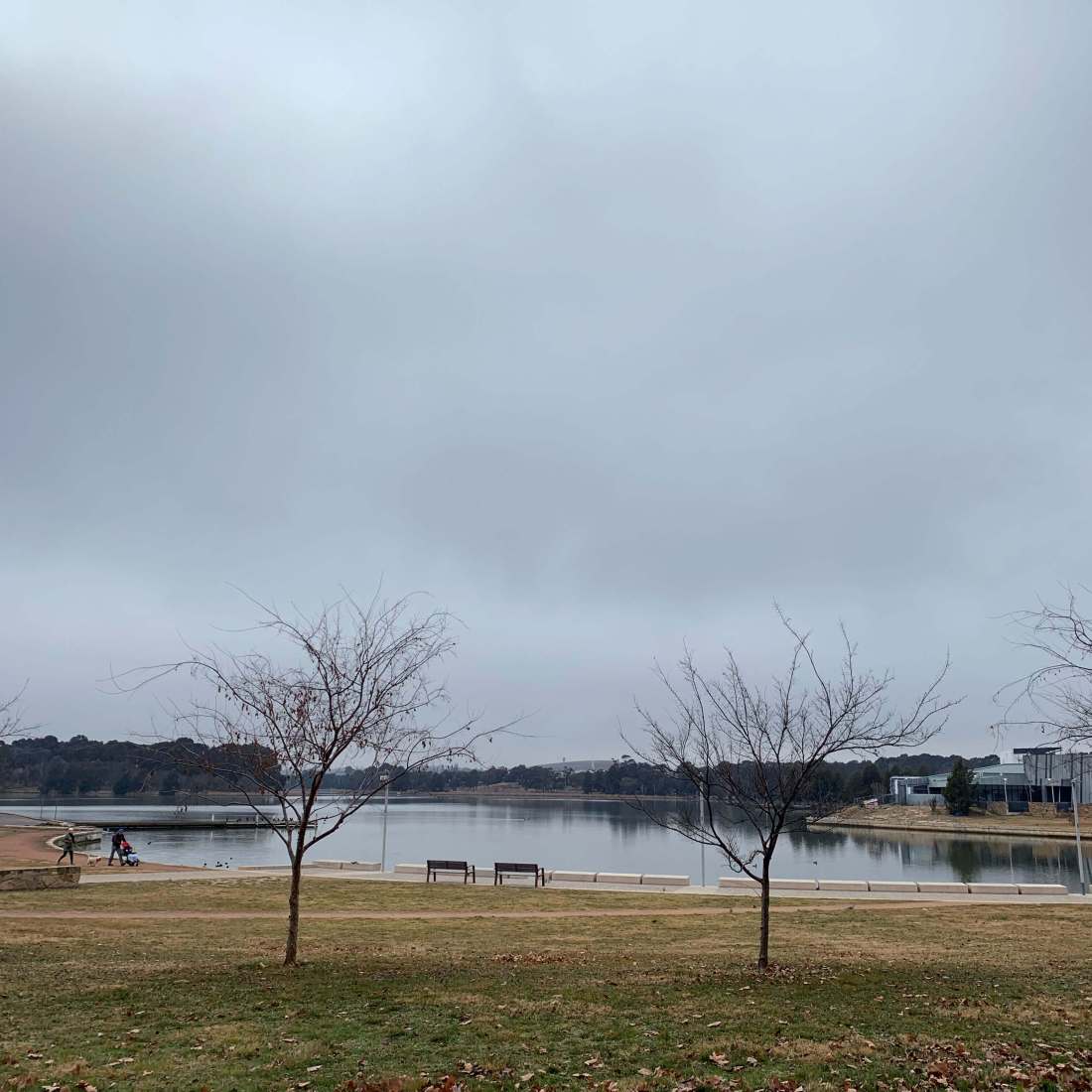 Winter morning in Canberra