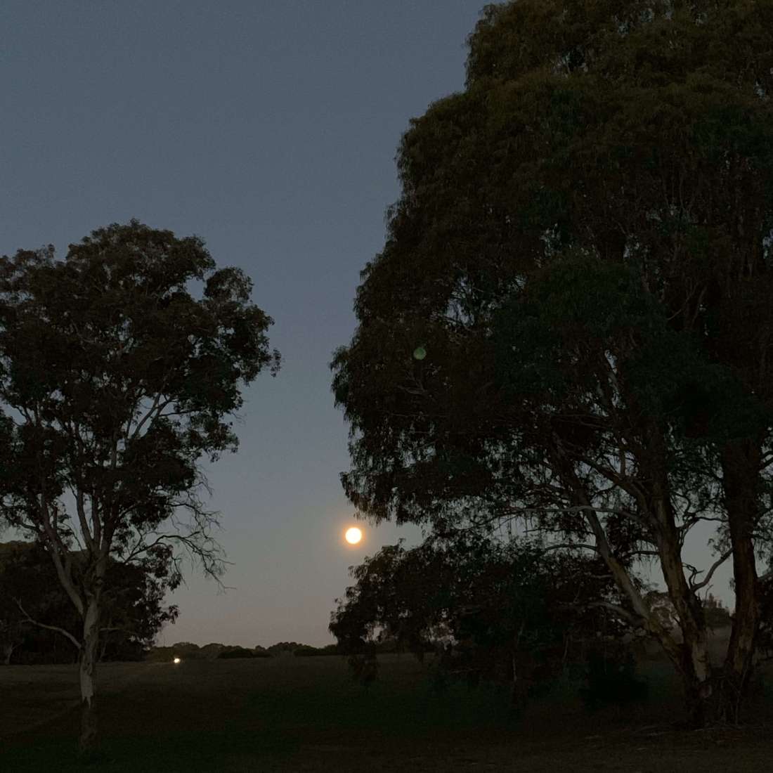 Full moon - Canberra