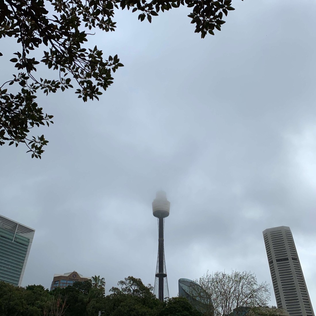 Westfield tower in mist, Sydney, Australia