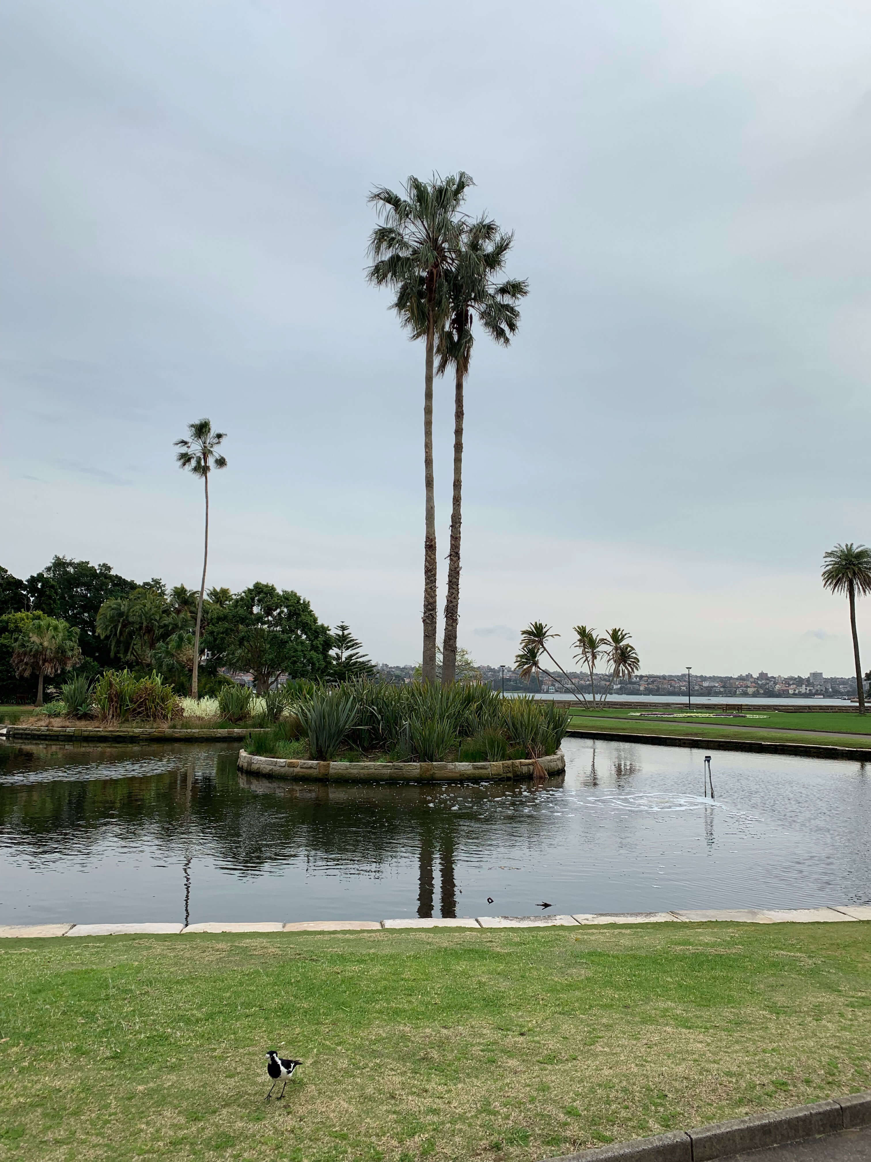 Royal Botanical Gardens, Sydney
