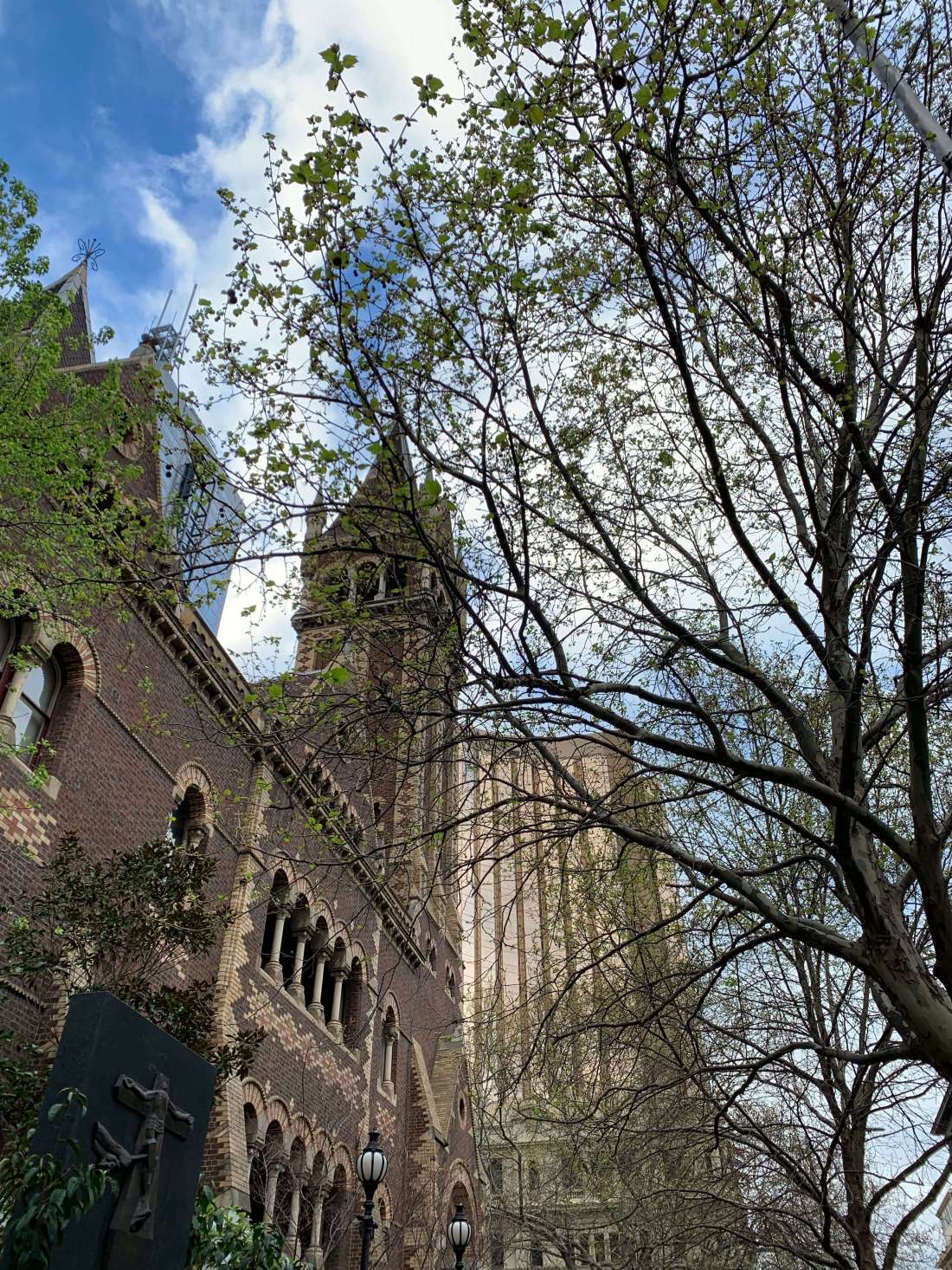 Spring morning in Melbourne