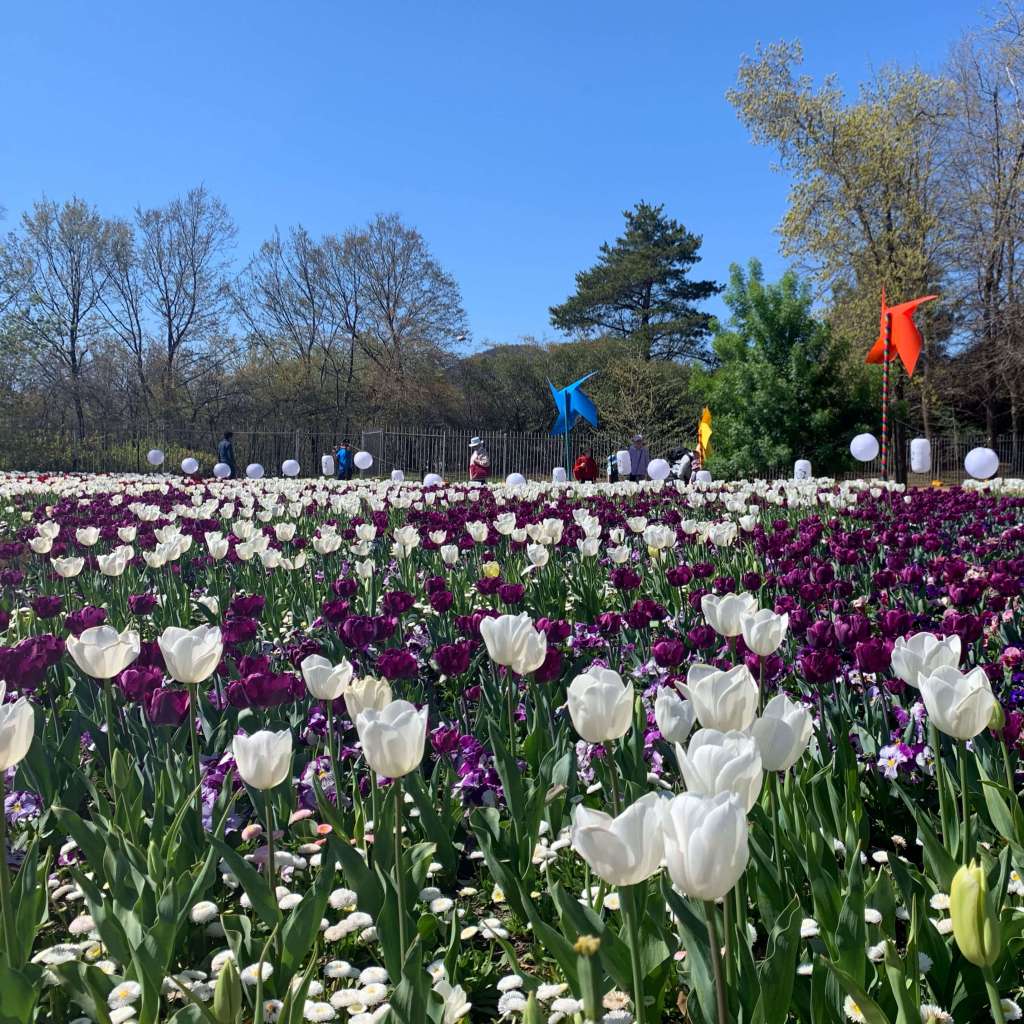 Floriade 2019 in Canberra