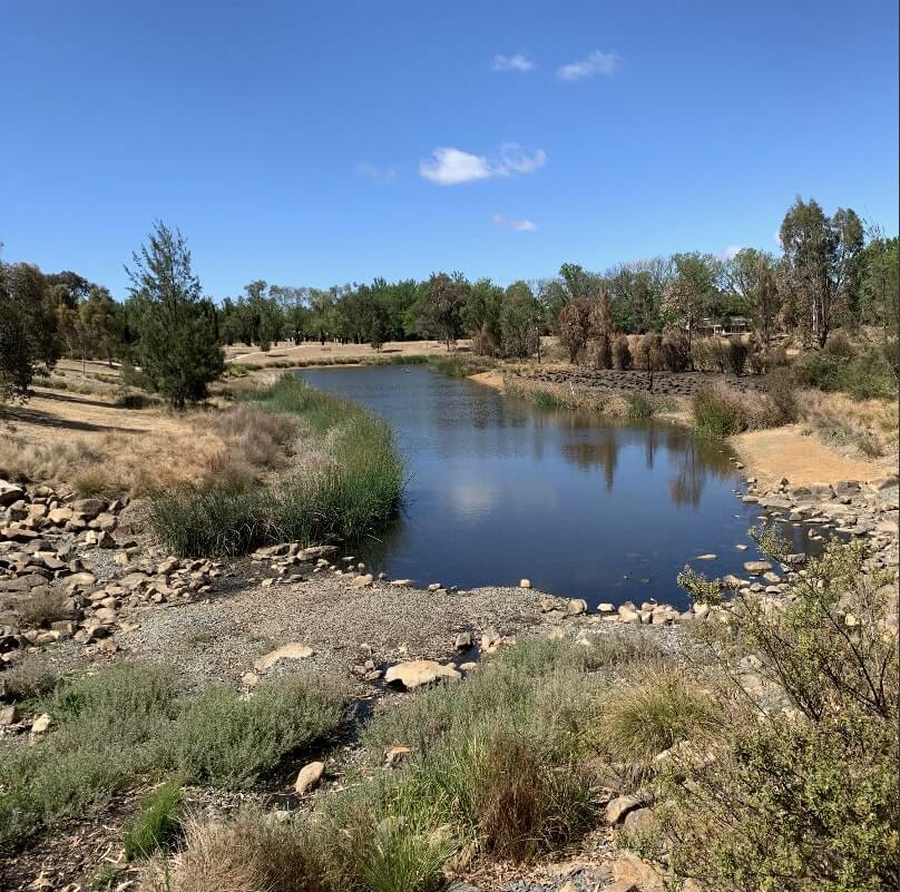 Wetland in Canberra