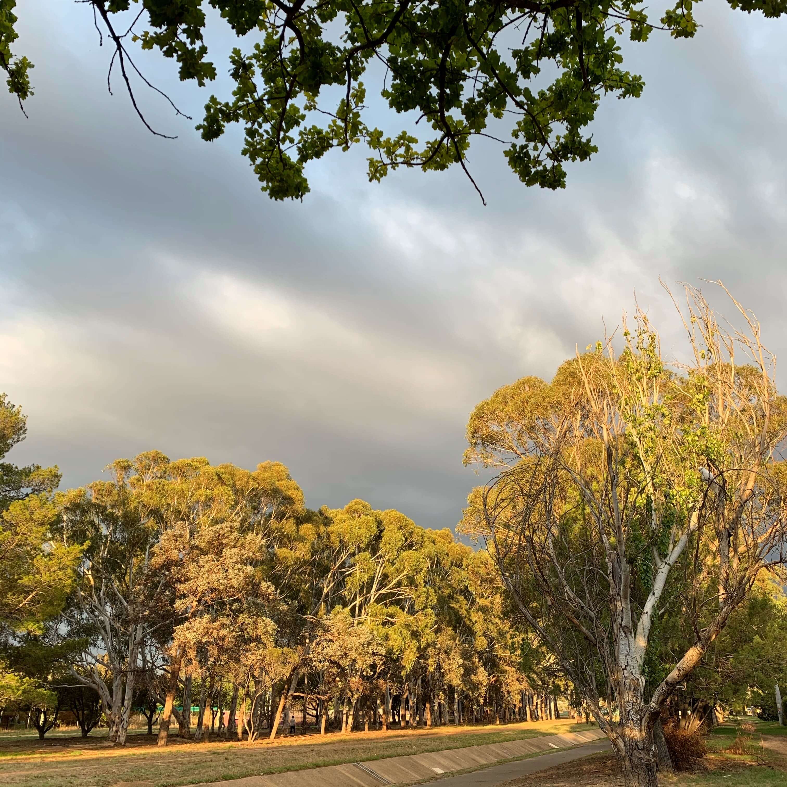 Summer-autumn sunset, Canberra