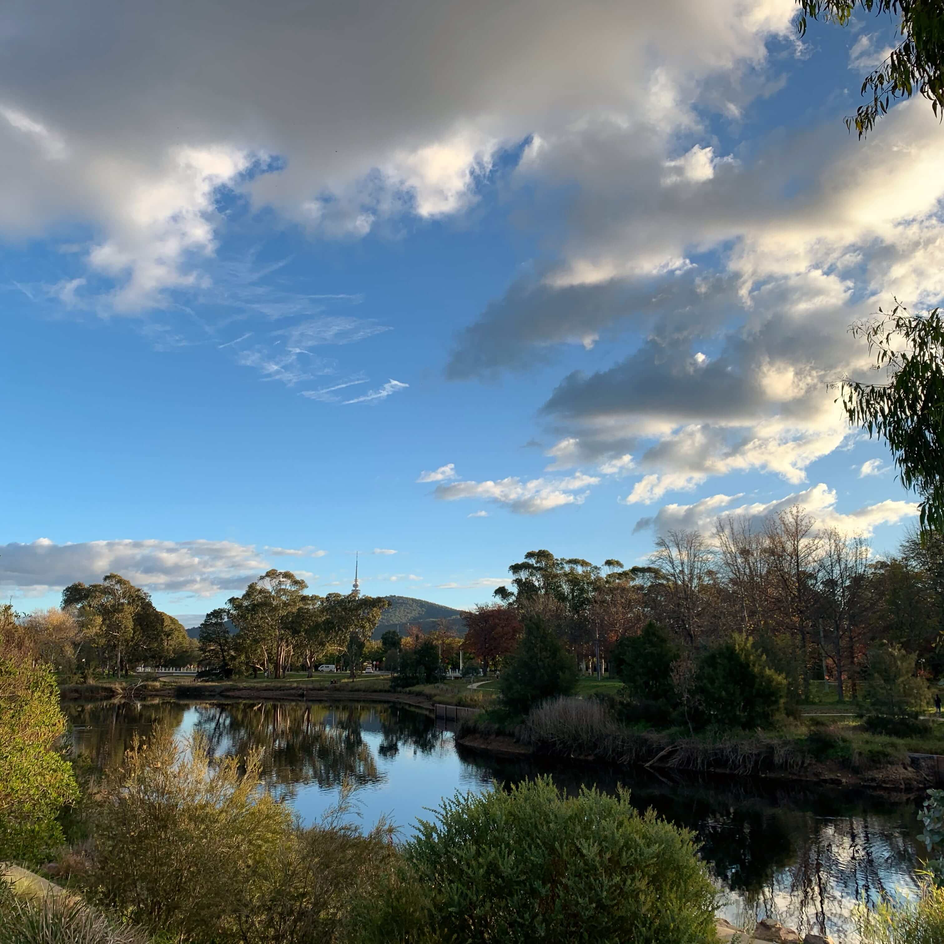 Autumnal afternoon, Canberra