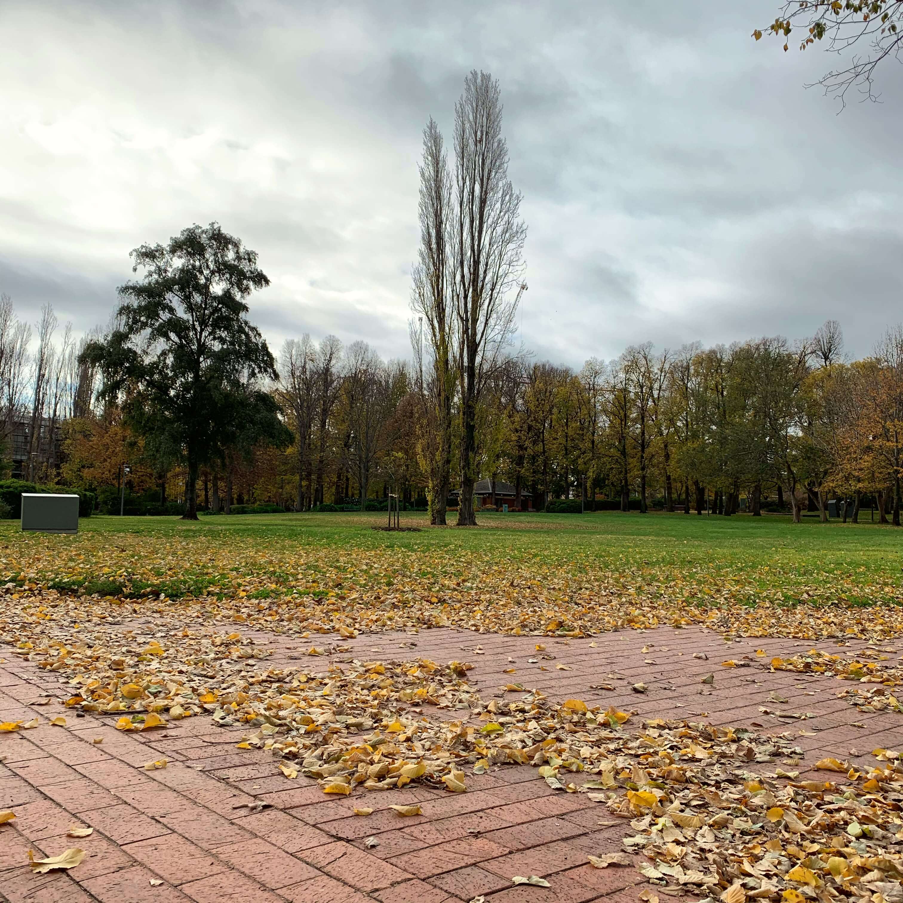 Cold autumn day in Canberra