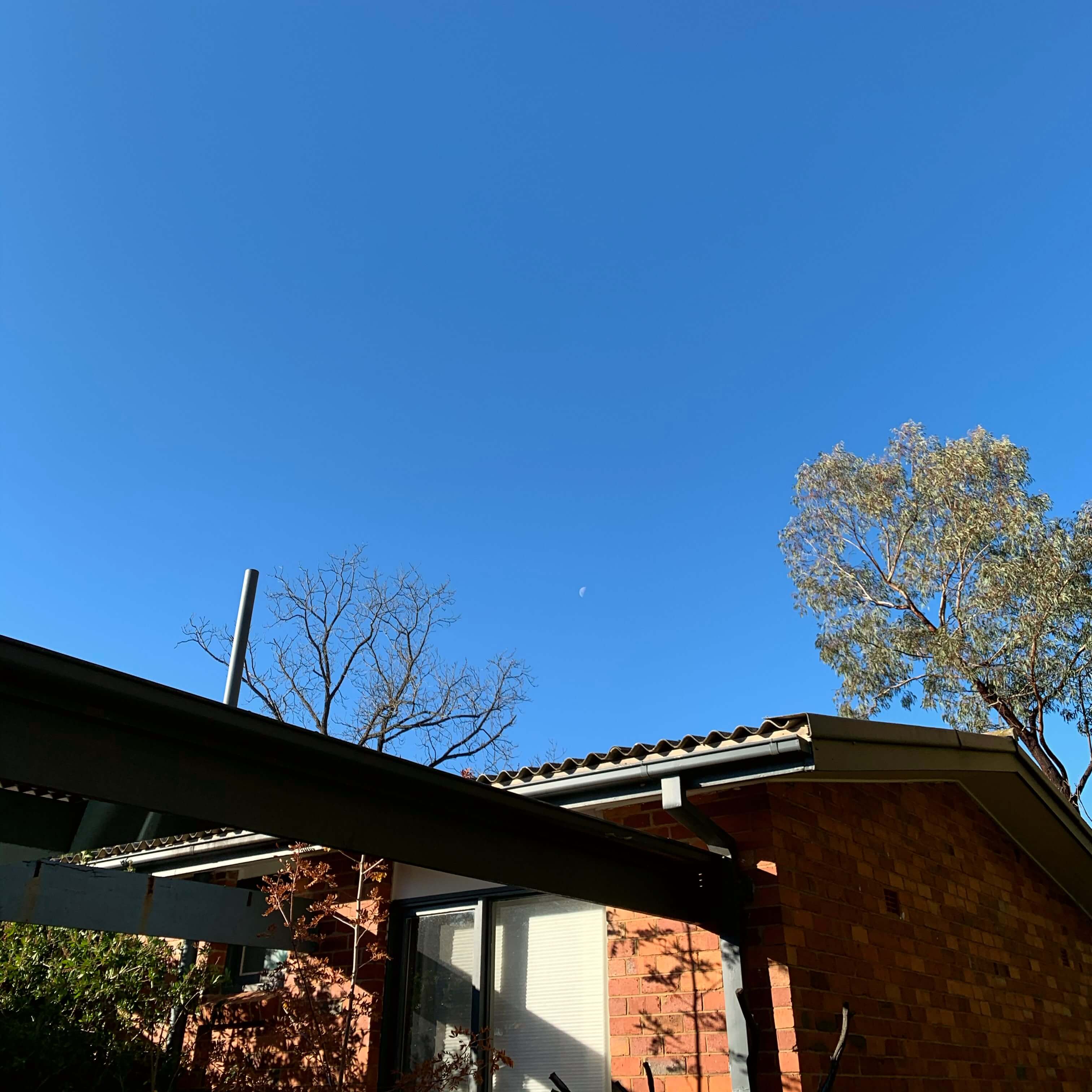 Moon on an Autumn afternoon