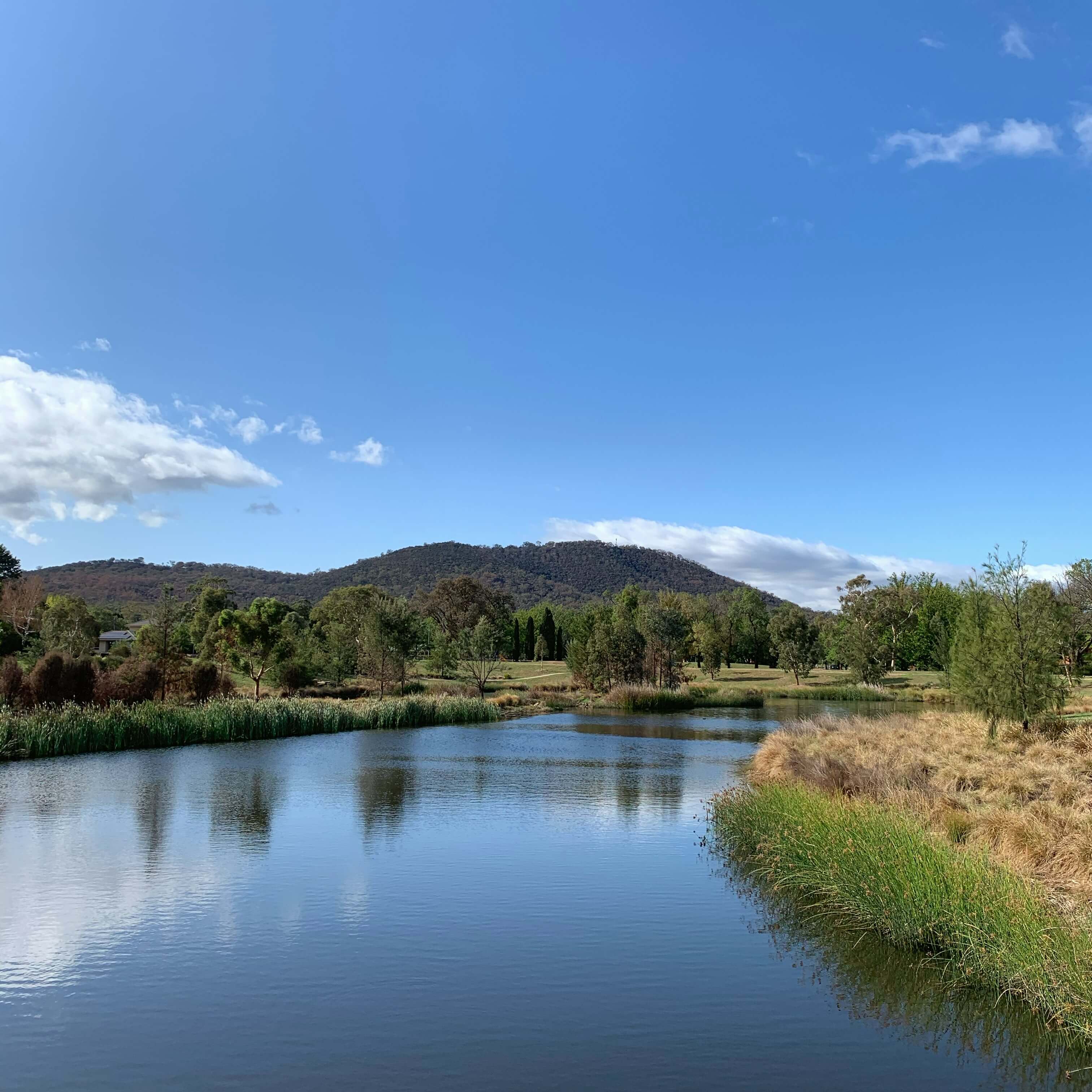 Mornings in Canberra