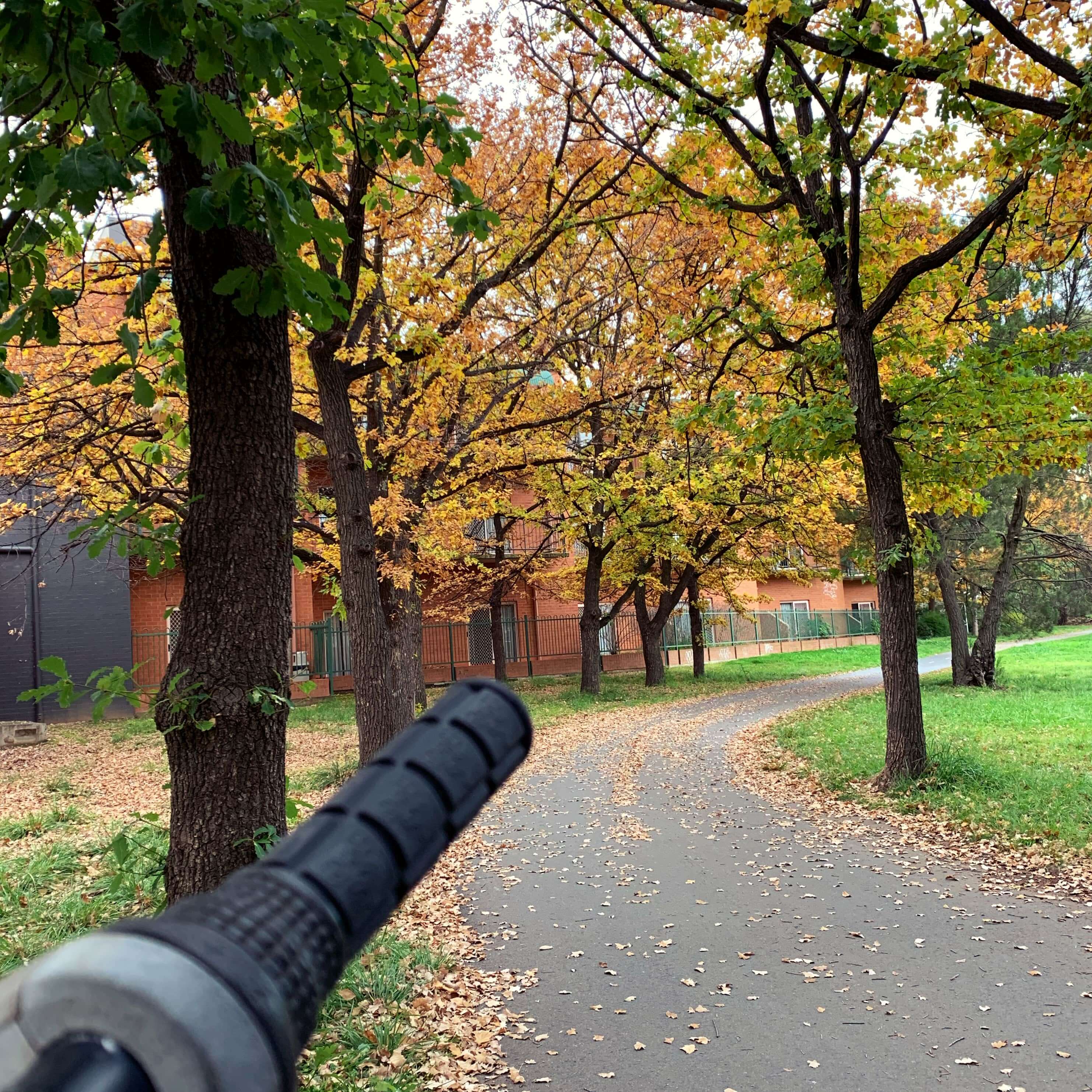 Riding through autumn trees