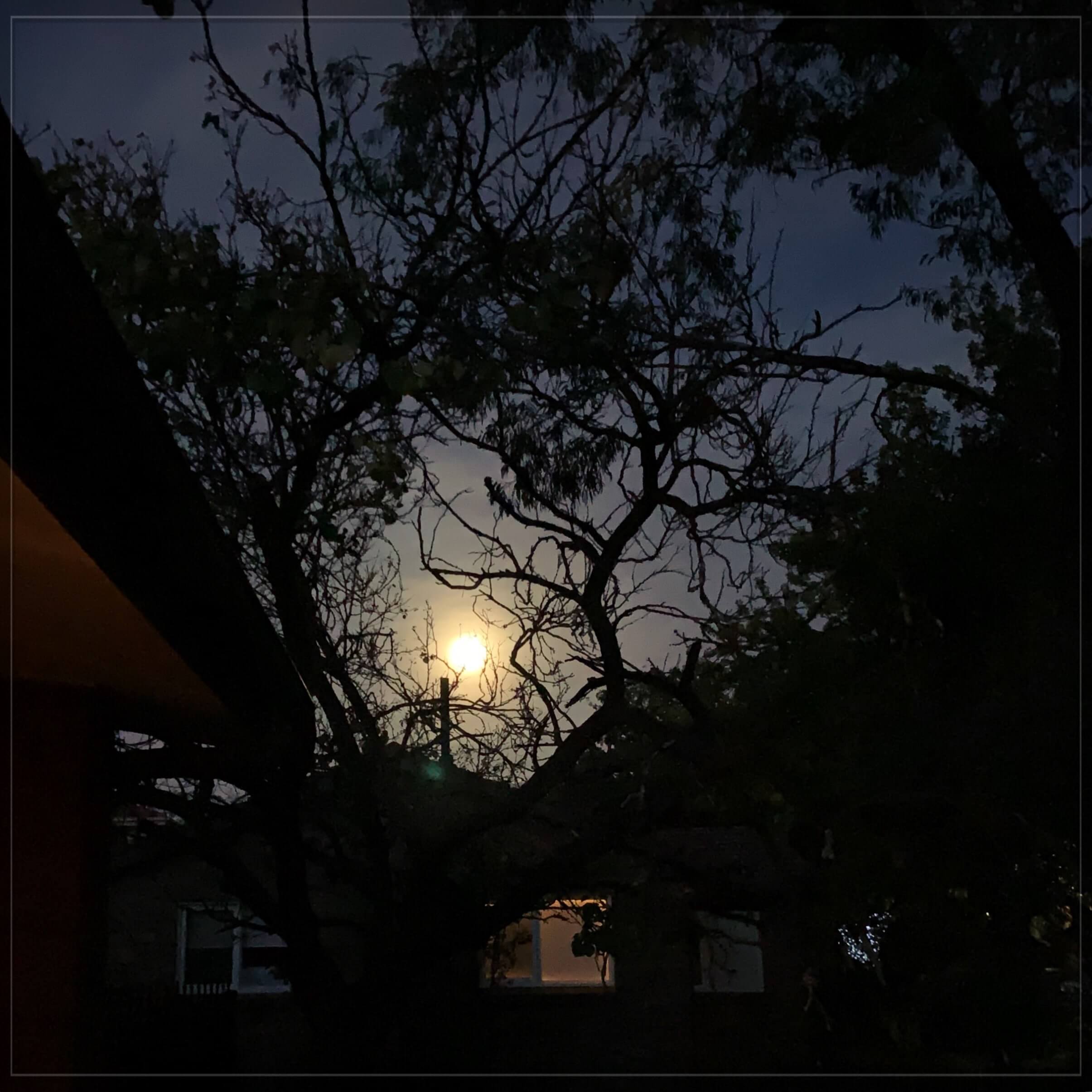 Super moon, May 2020, Canberra